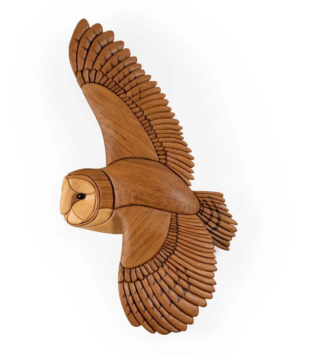 T.A.G. Smith, T.A.G. Smith (Tom Smith) (Nottinghamshire): Barn Owl in Flight
