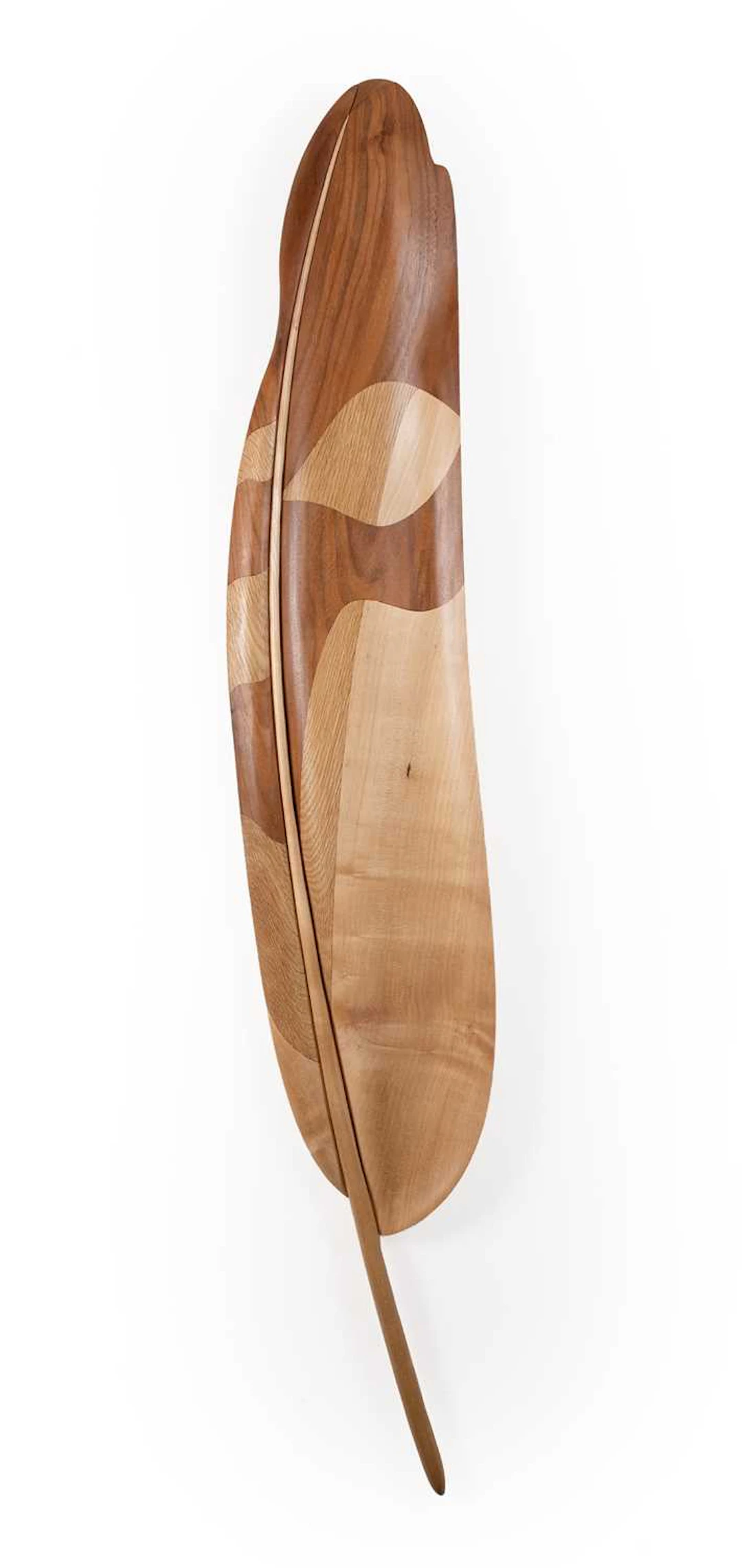 T.A.G. Smith, T.A.G. Smith (Tom Smith) (Nottinghamshire): Large Feather