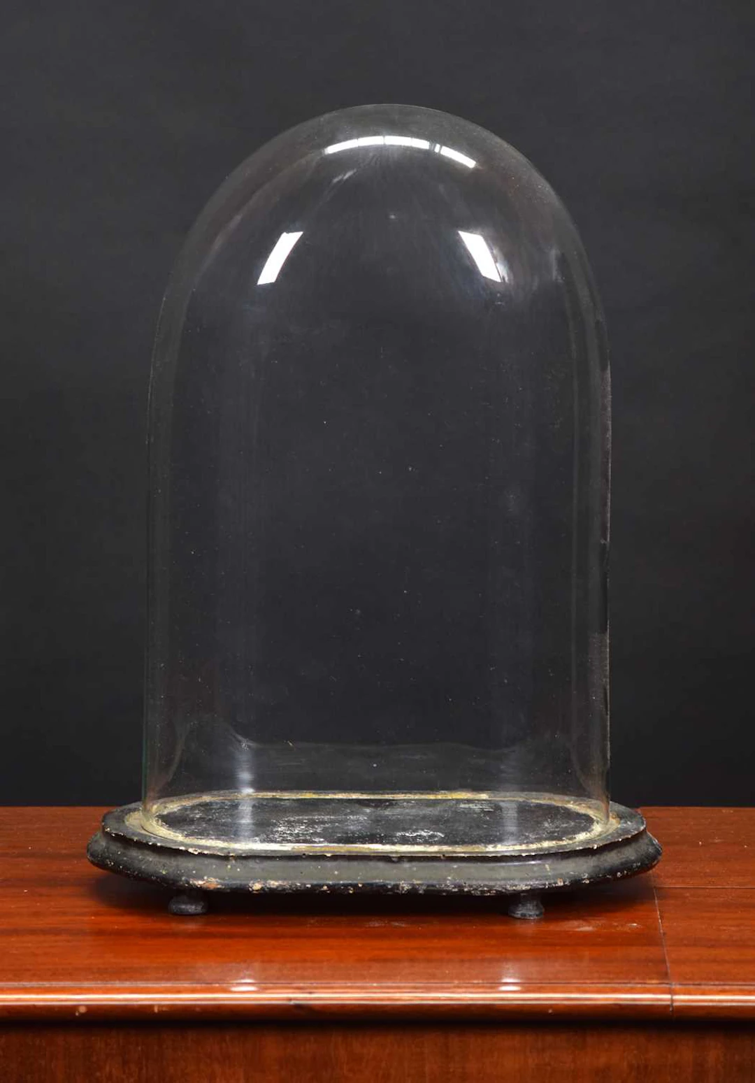 Glass Dome: An Oval Glass Dome