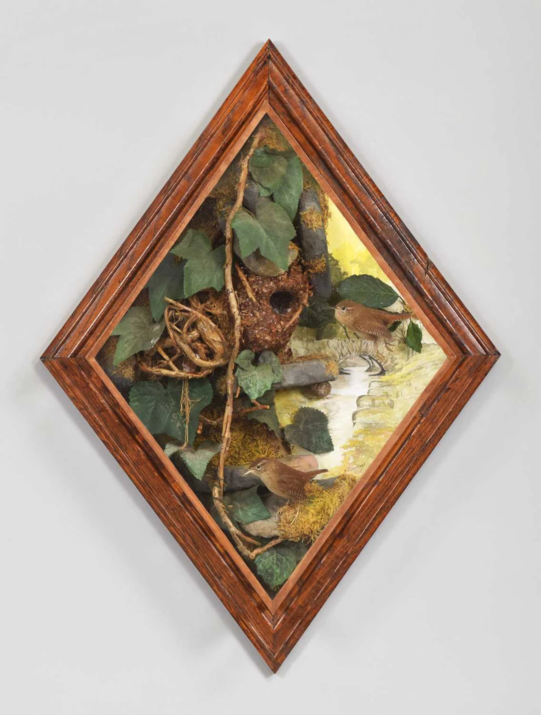Taxidermy: A Wall Cased Pair of Eurasian Wrens (Troglodytes troglodytes)