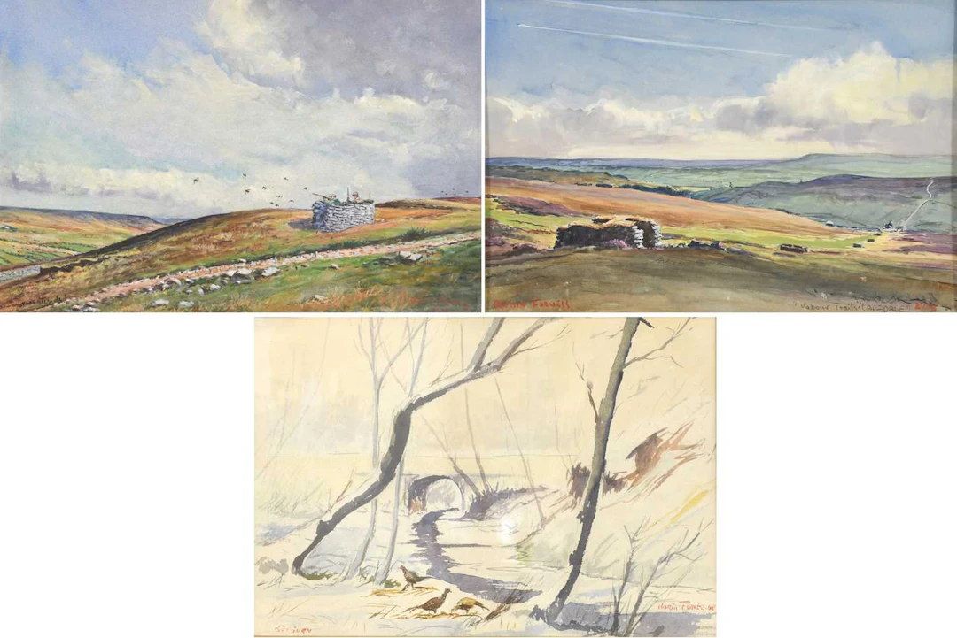 Robin Furness (1933-2024)