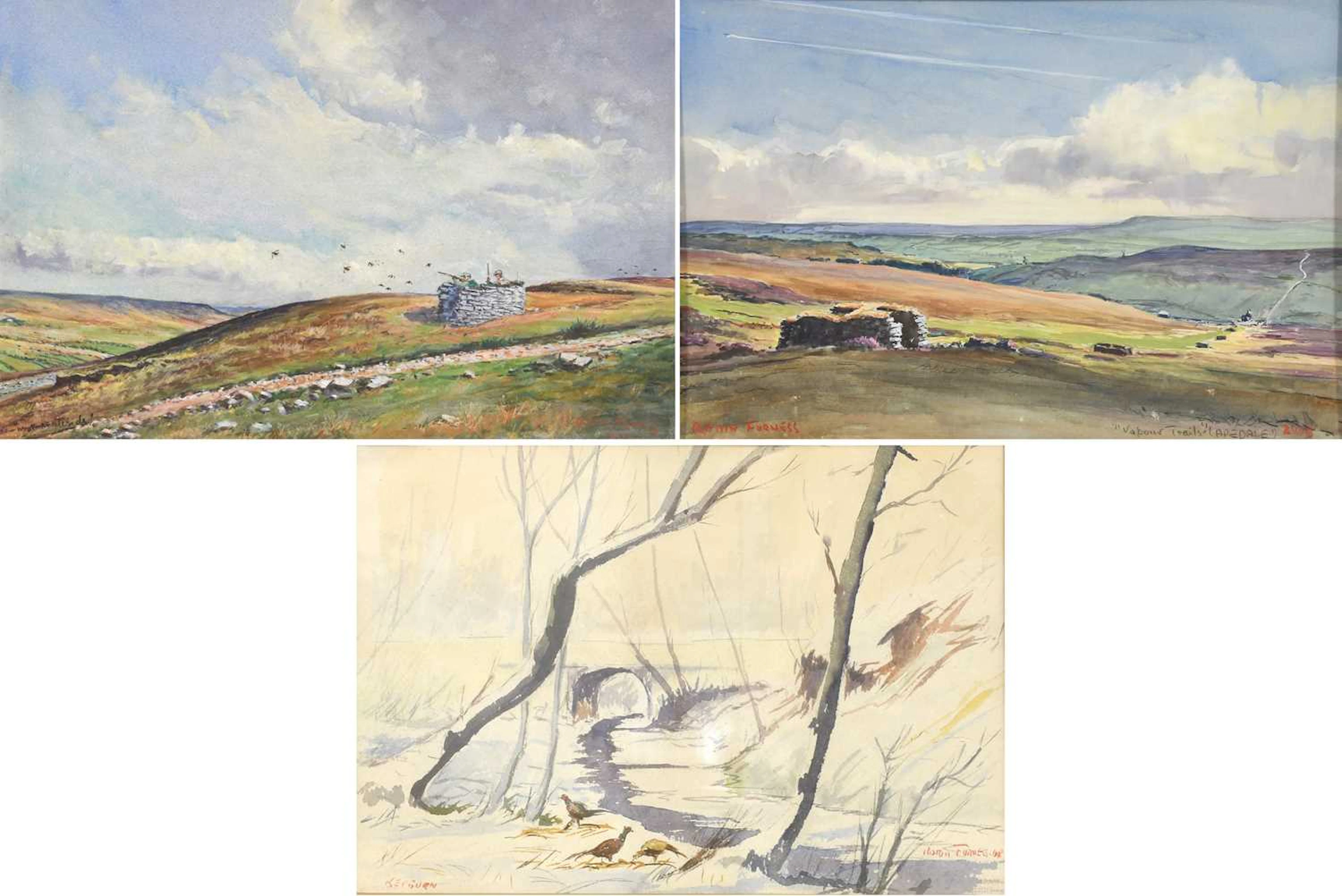 Robin Furness (1933-2024)