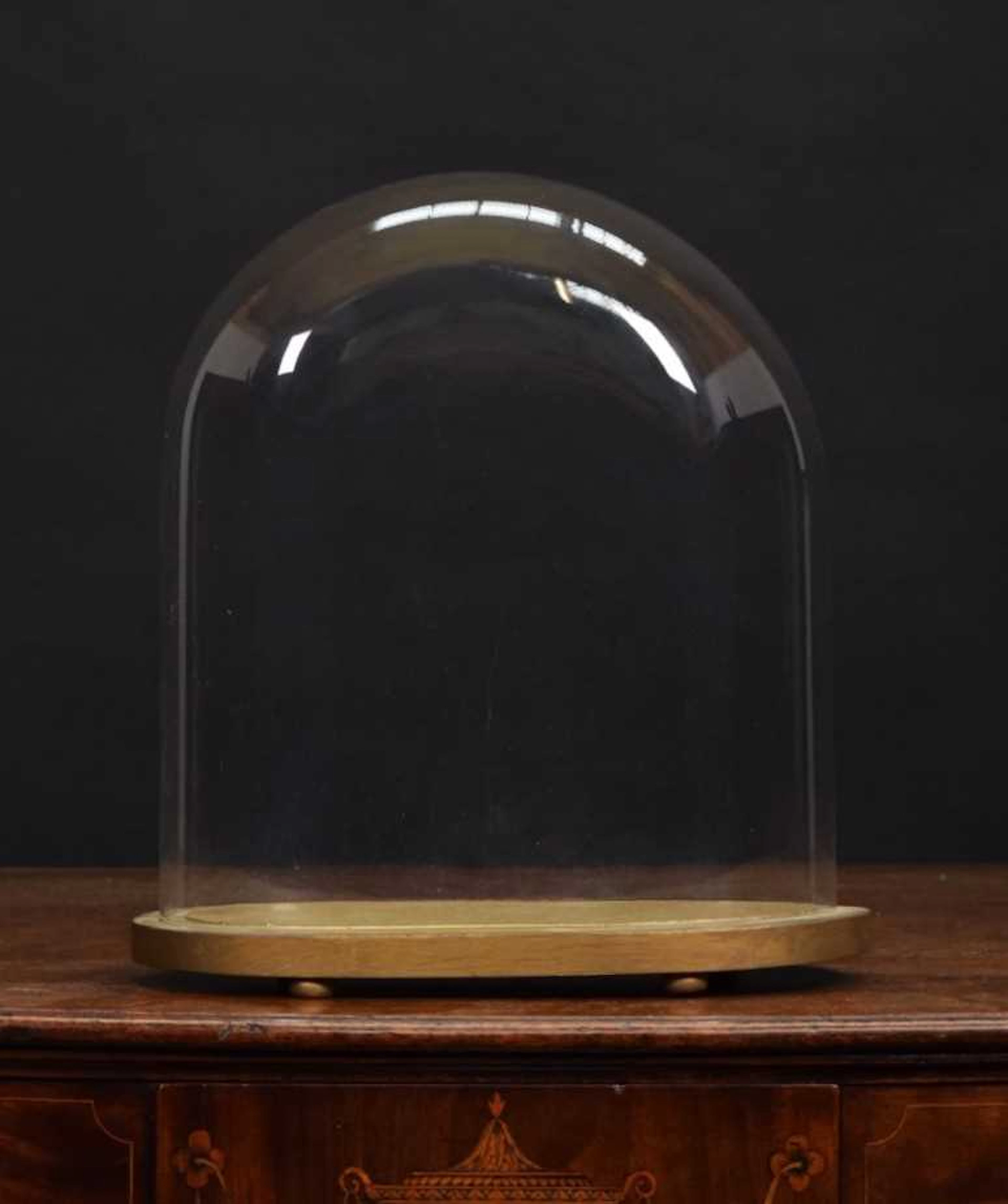 Glass Dome: An Oval Glass Dome