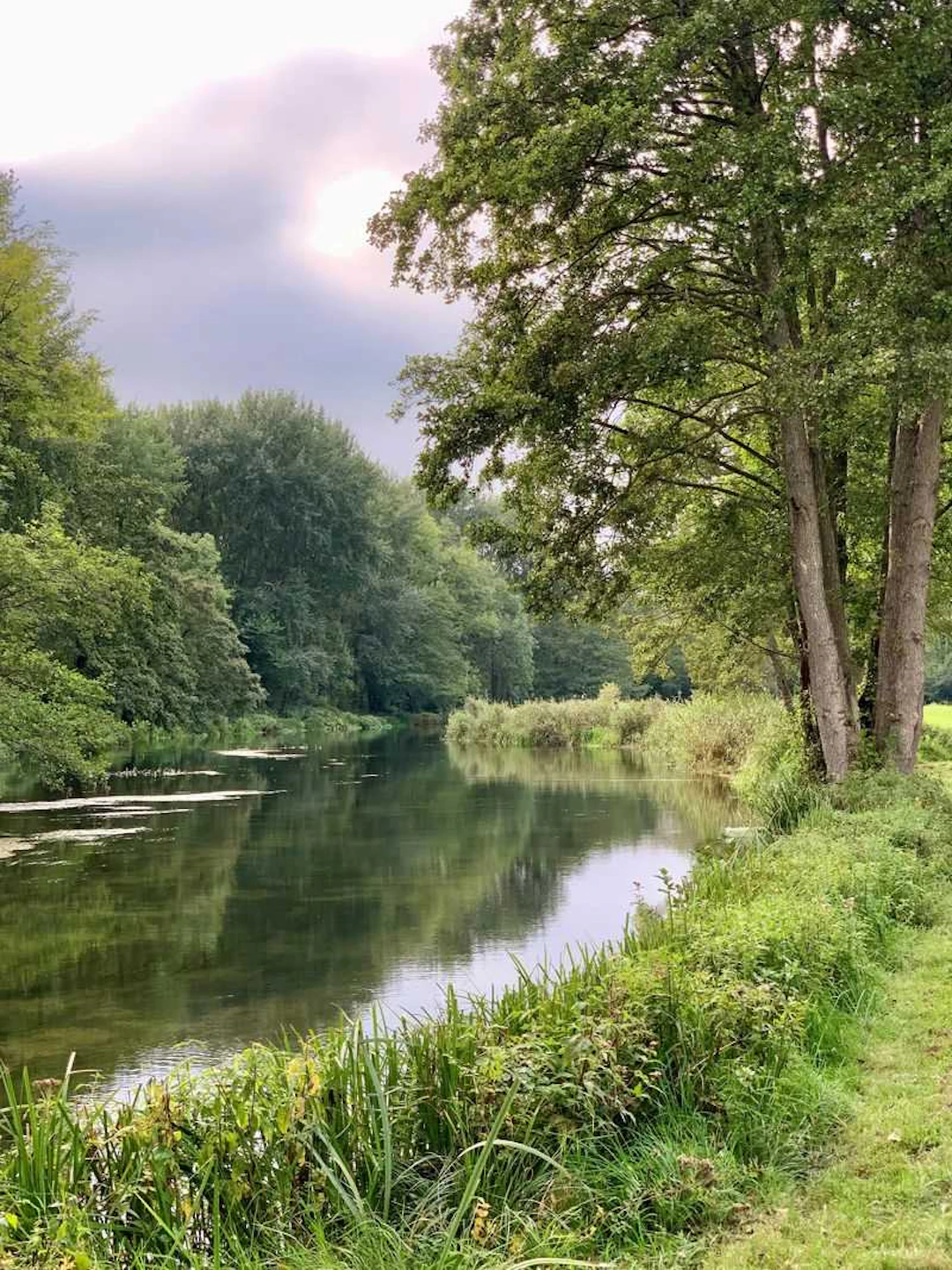 Two Rods, A Day on the Orvis Timsbury 5 Beat on the River Test, with