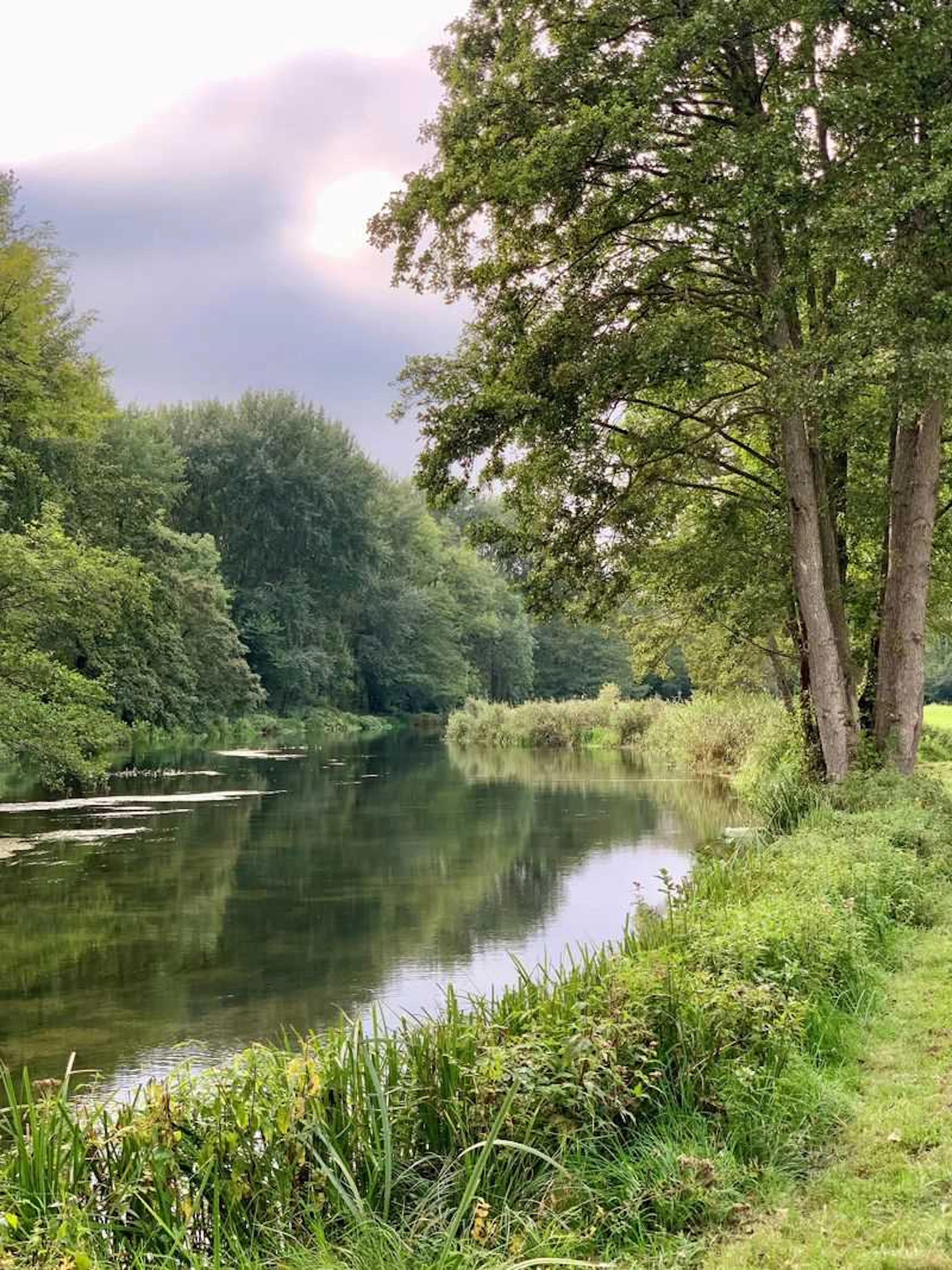 Two Rods, A Day on the Orvis Timsbury 5 Beat on the River Test, with