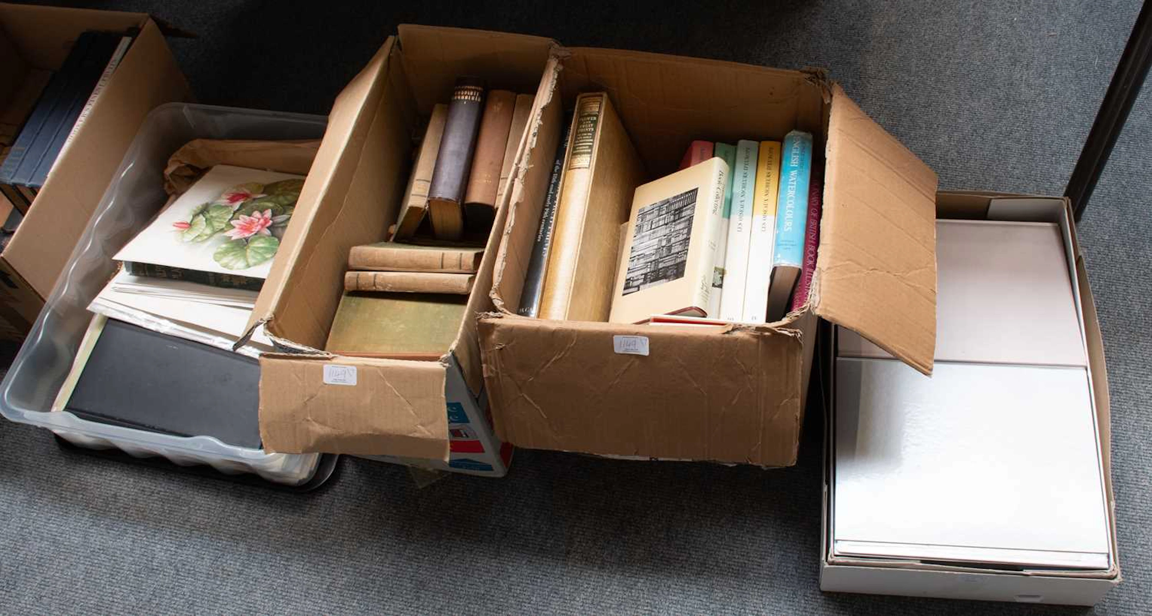 Collection of Assorted Books