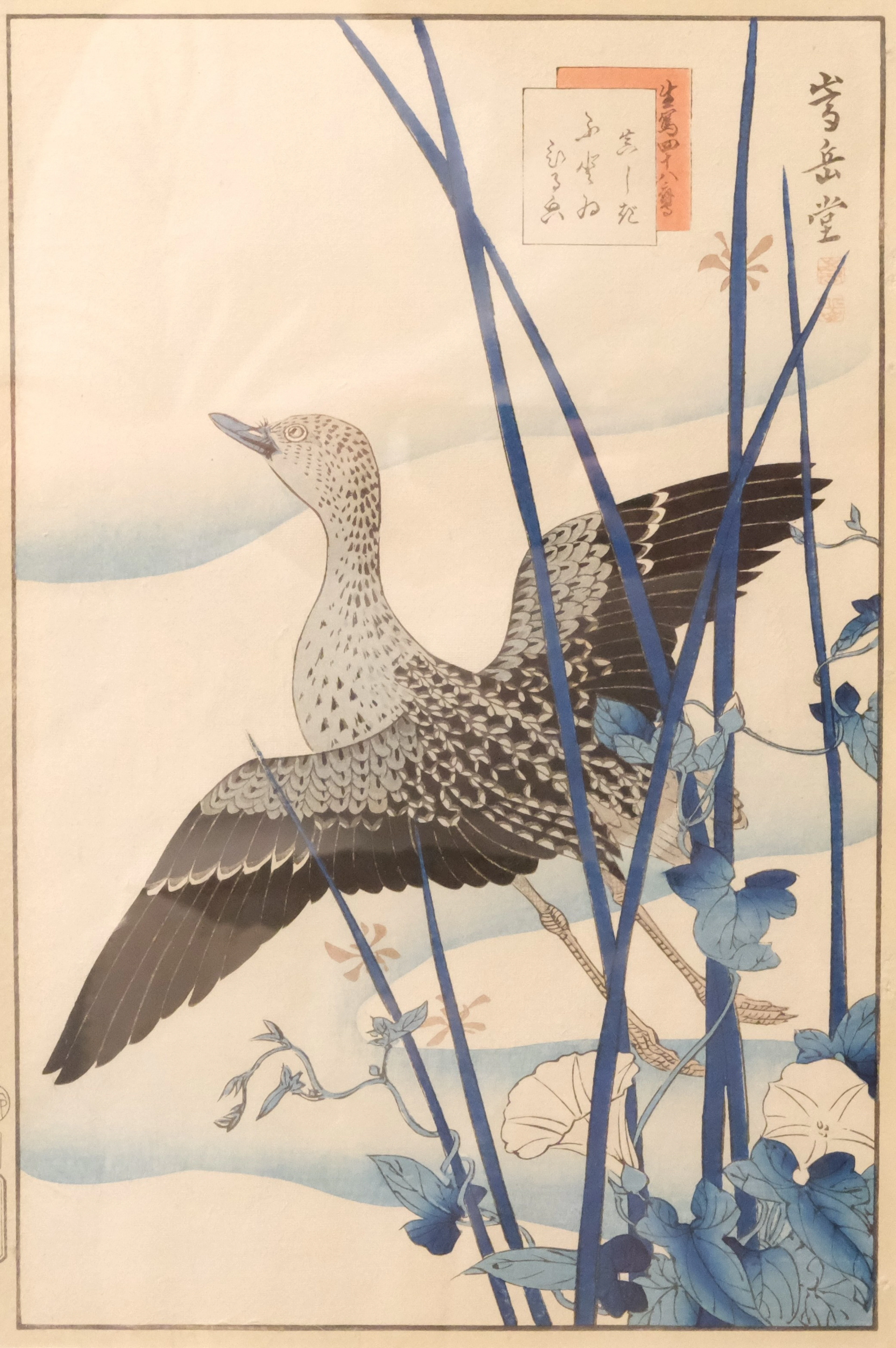 AKAYAMA SUGAKUDO. TRYCK JAPAN.