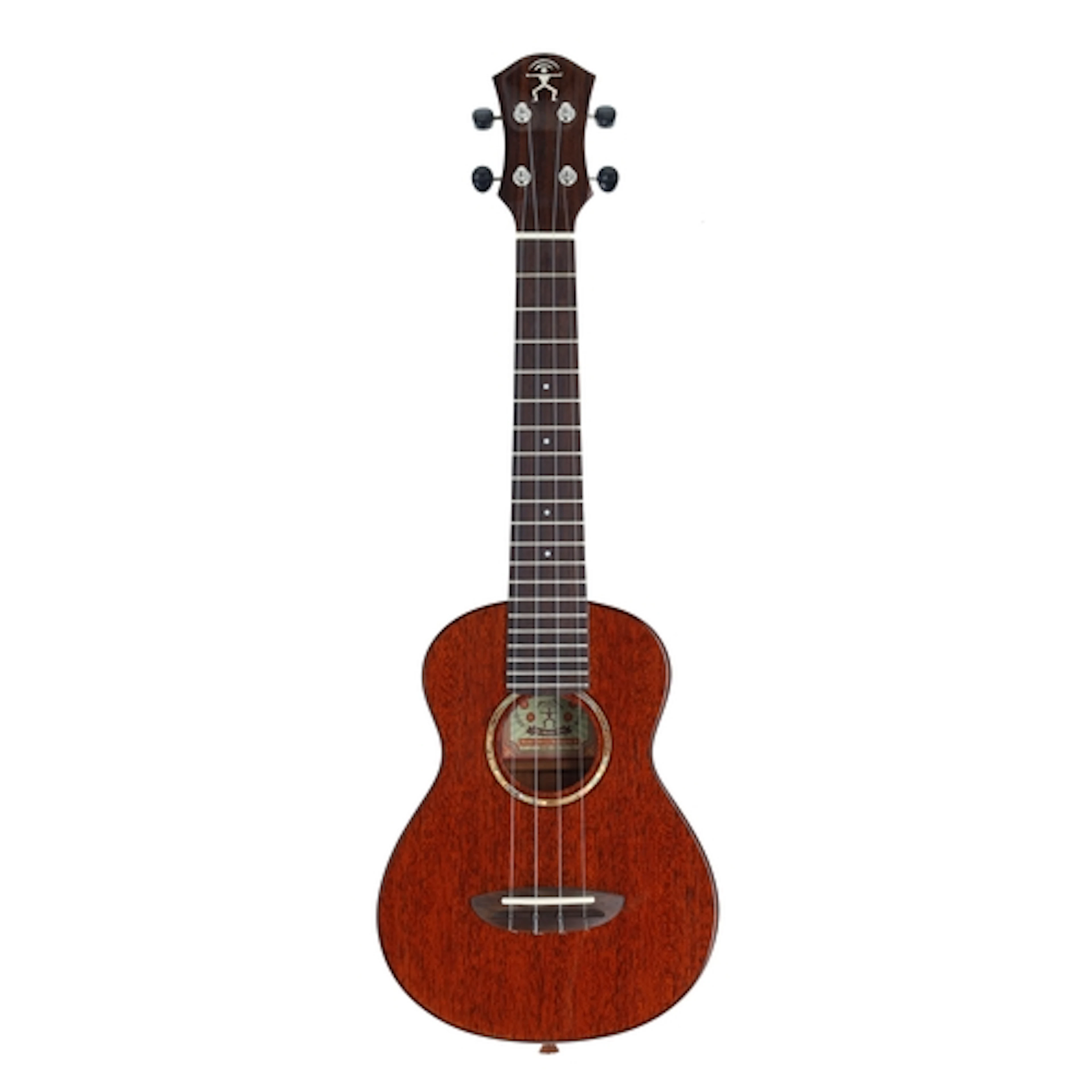 aNueNue mahogany concert ukulele, case