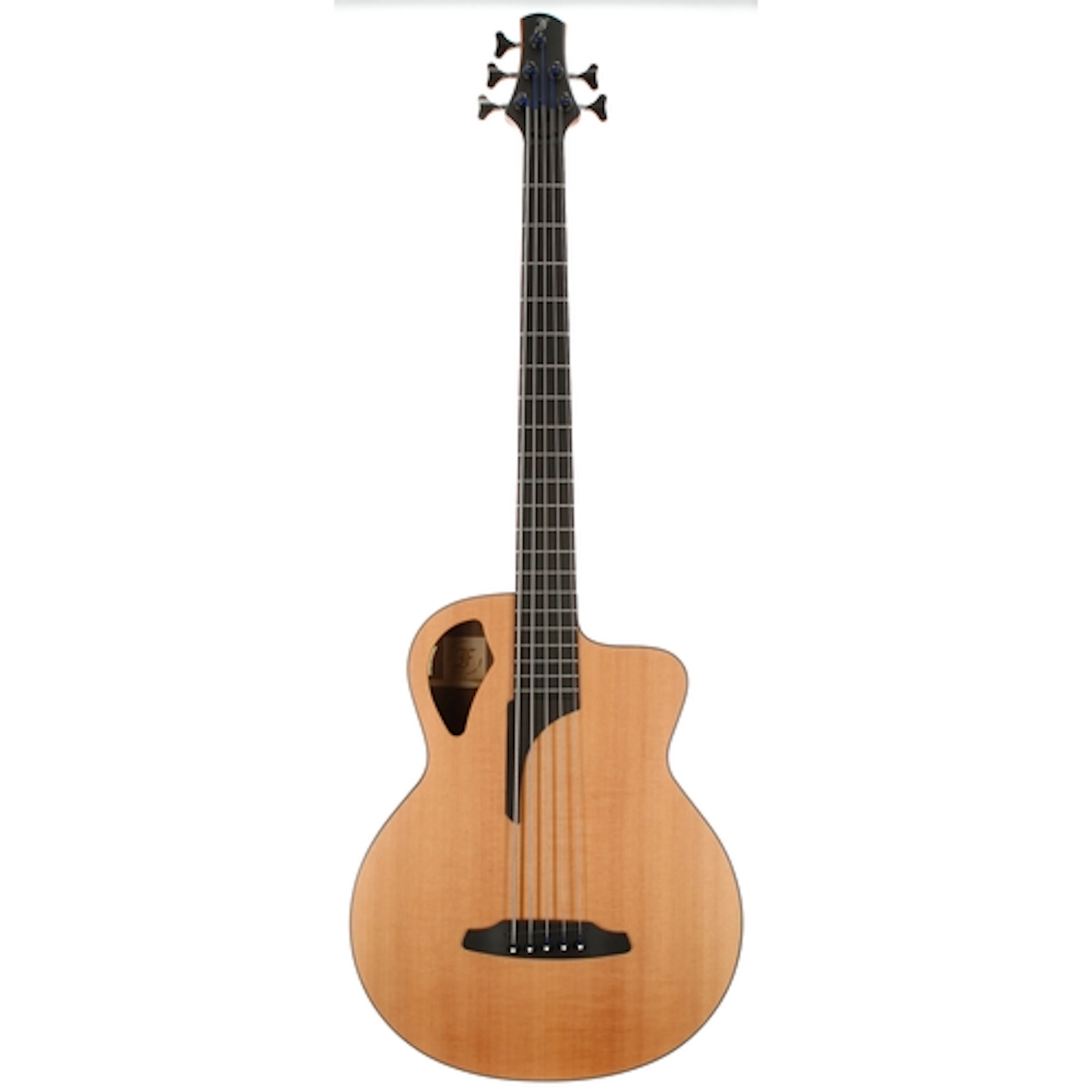 Furch BC 62-SW 5 electro-acoustic five string bass guitar, m...