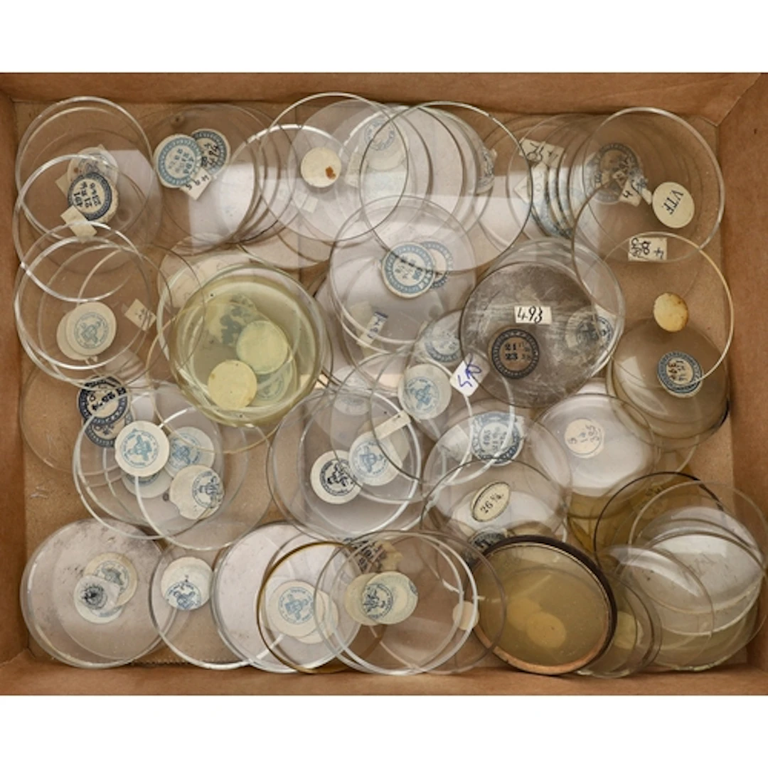 Quantity of large pocket watch crystals