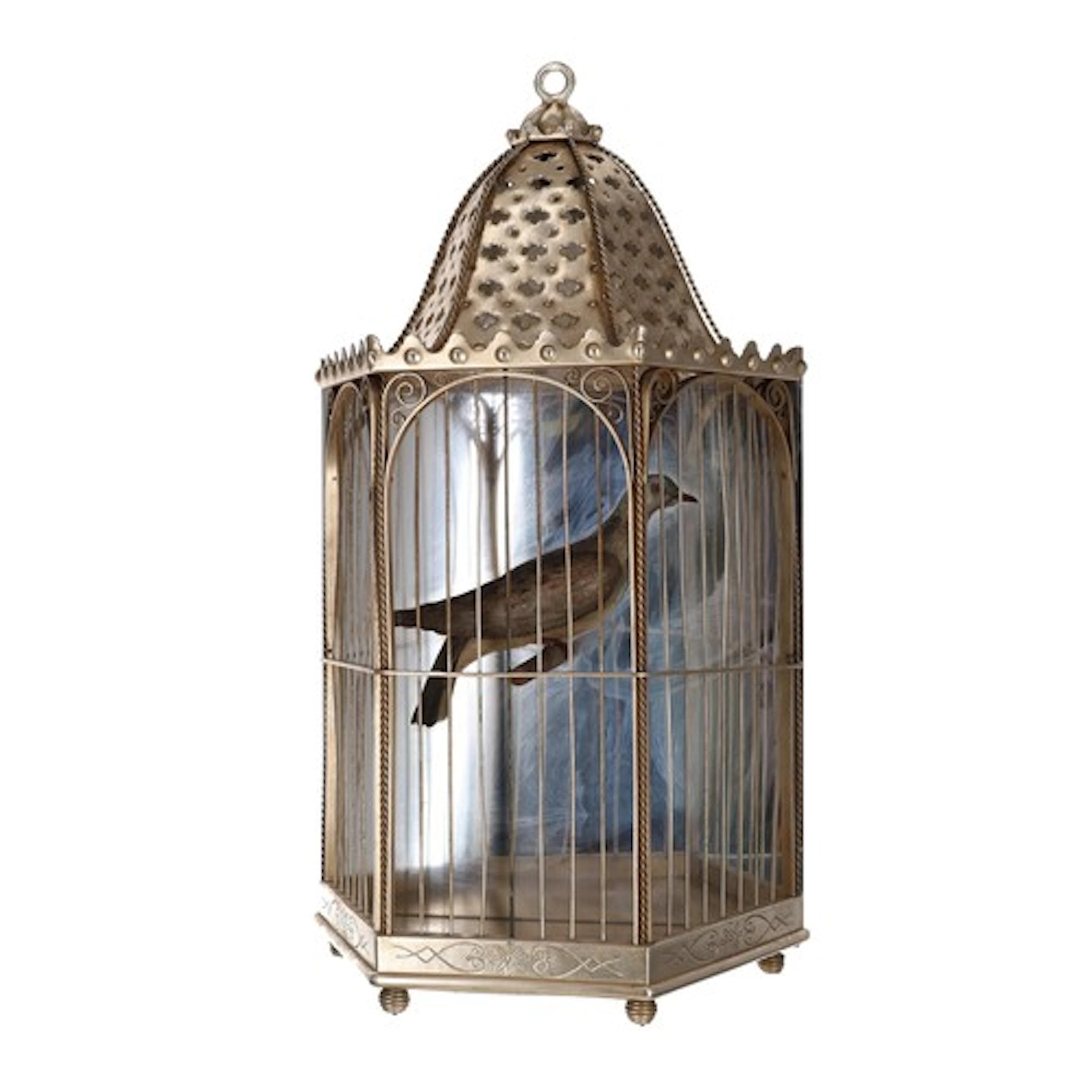 Decorative bird cage diorama lamp, modelled with a half pain...