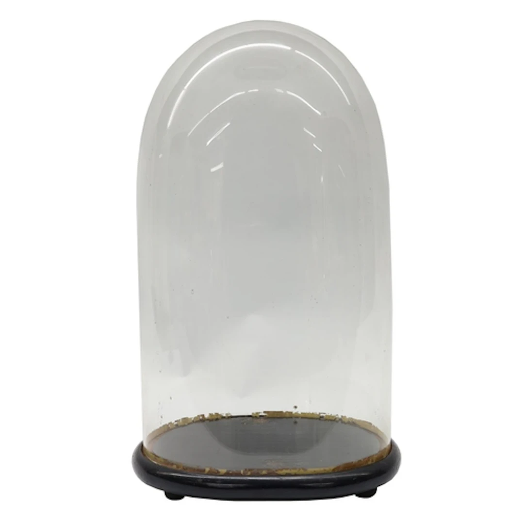 Oval glass clock display dome upon an ebonised wooden base, ...
