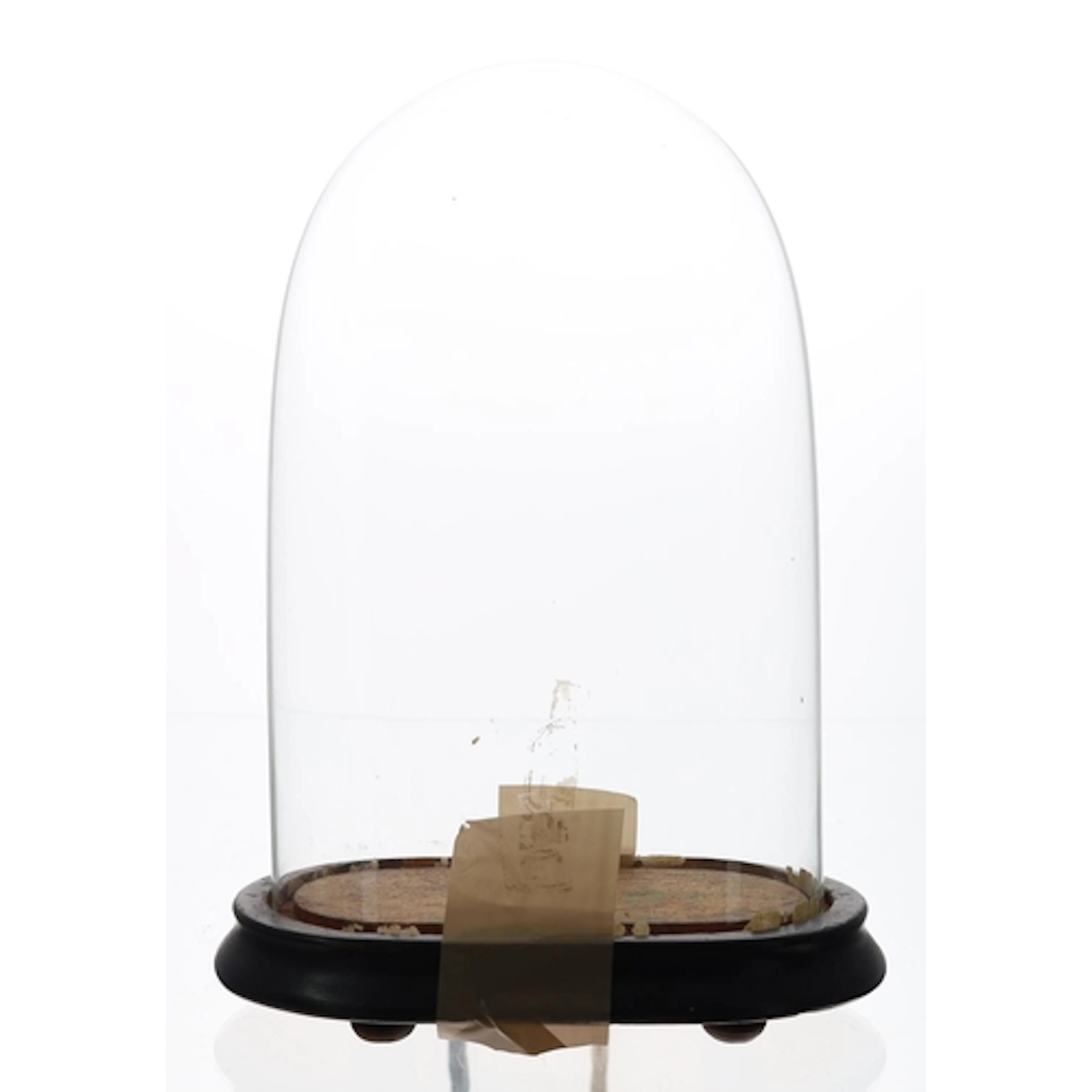 Small glass clock dome upon a stepped ebonised base with ova...