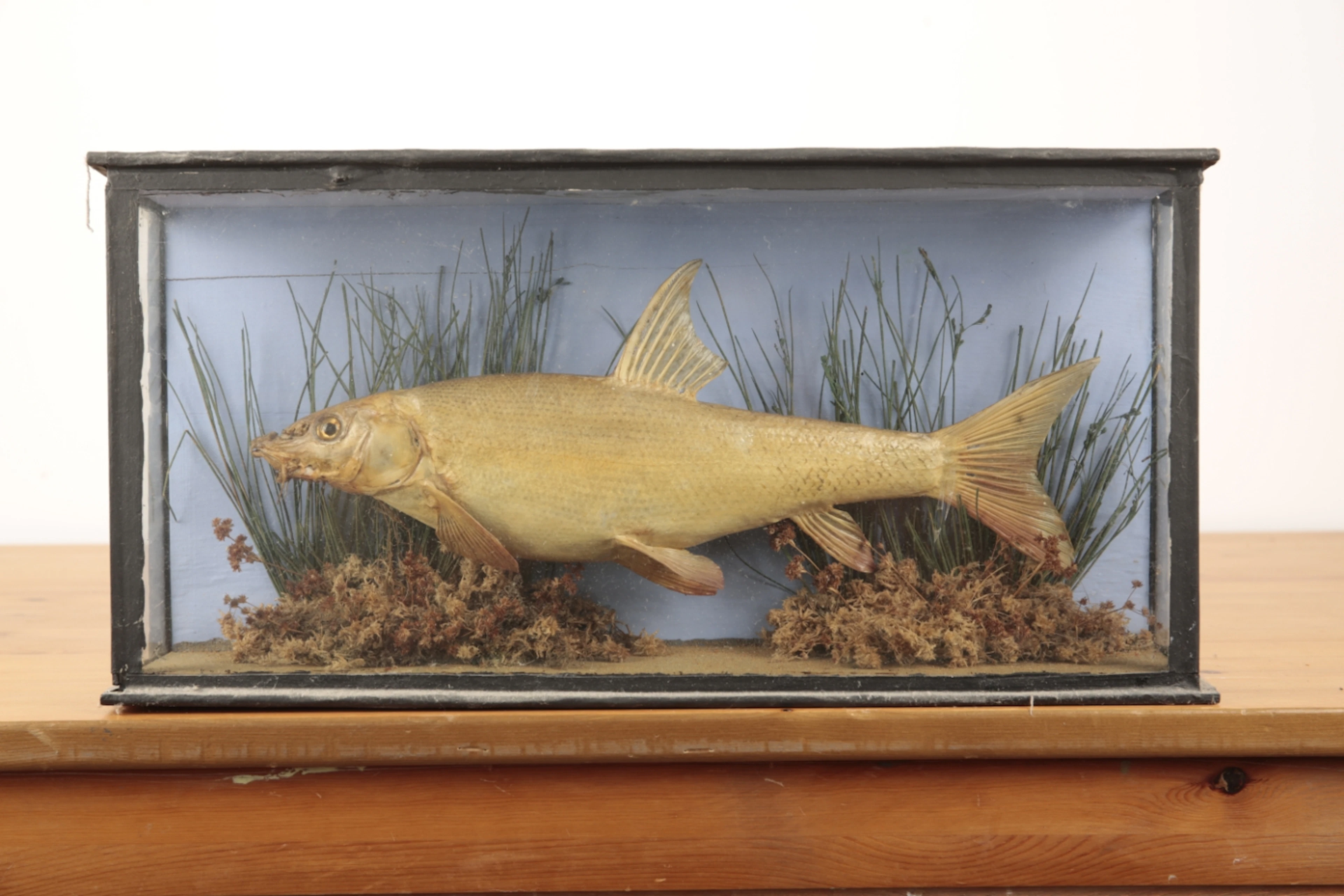 A REGENCY GILT GESSO CIRCULAR WALL MIRROR