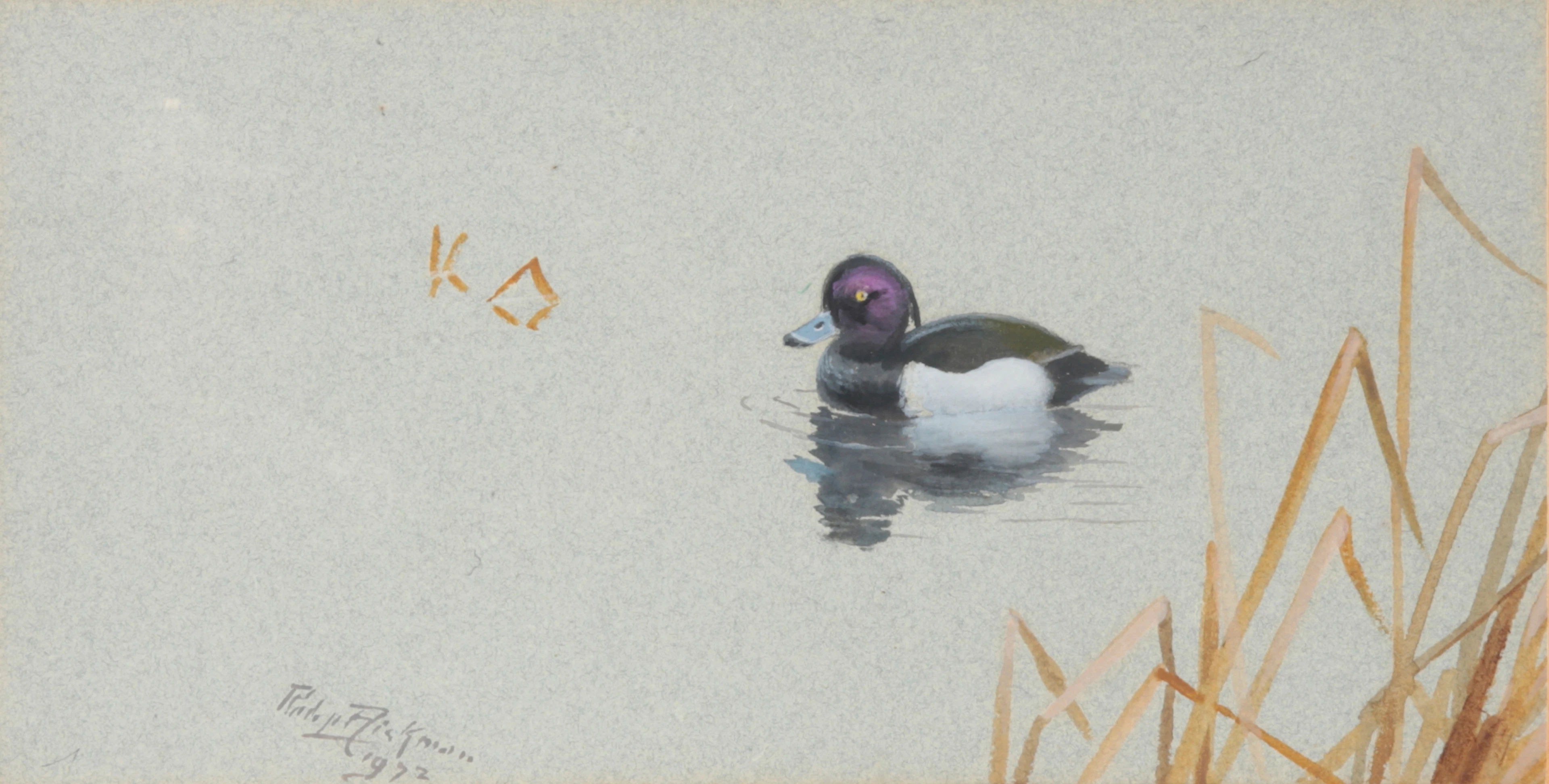 *PHILIP RICKMAN (1891-1982) 'Goldeneye'