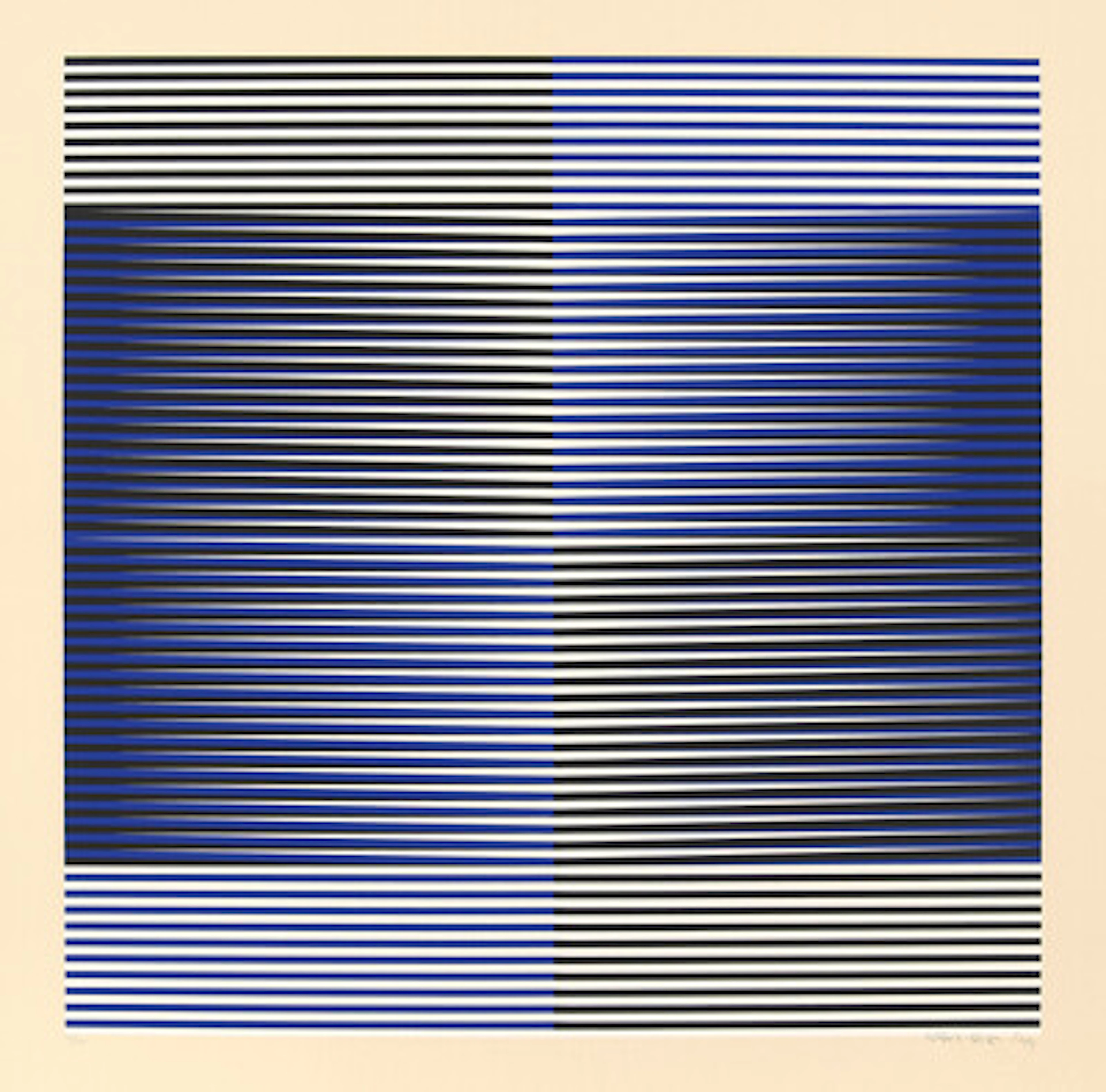 Carlos Cruz-Diez