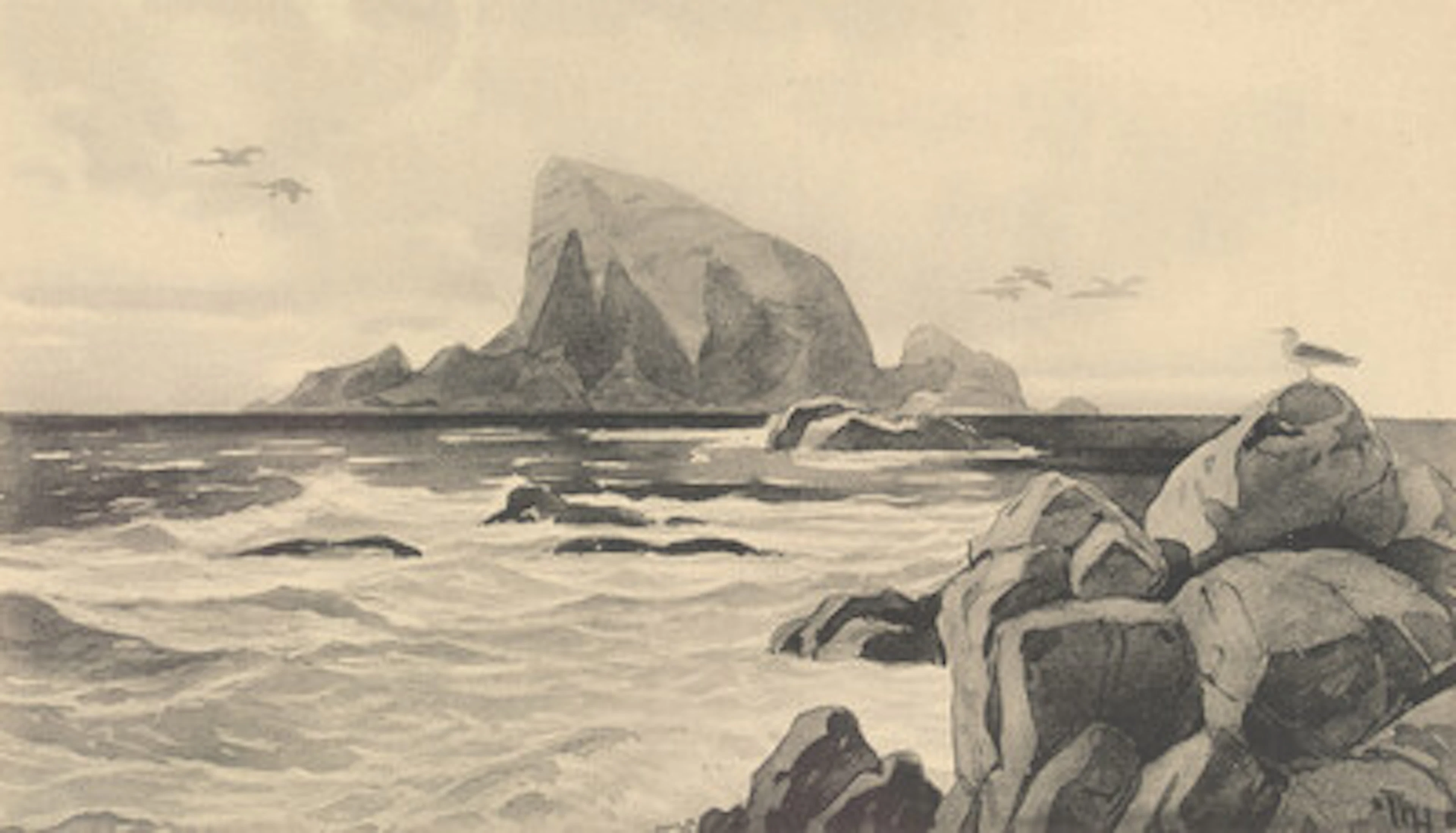 Thorolf Holmboe