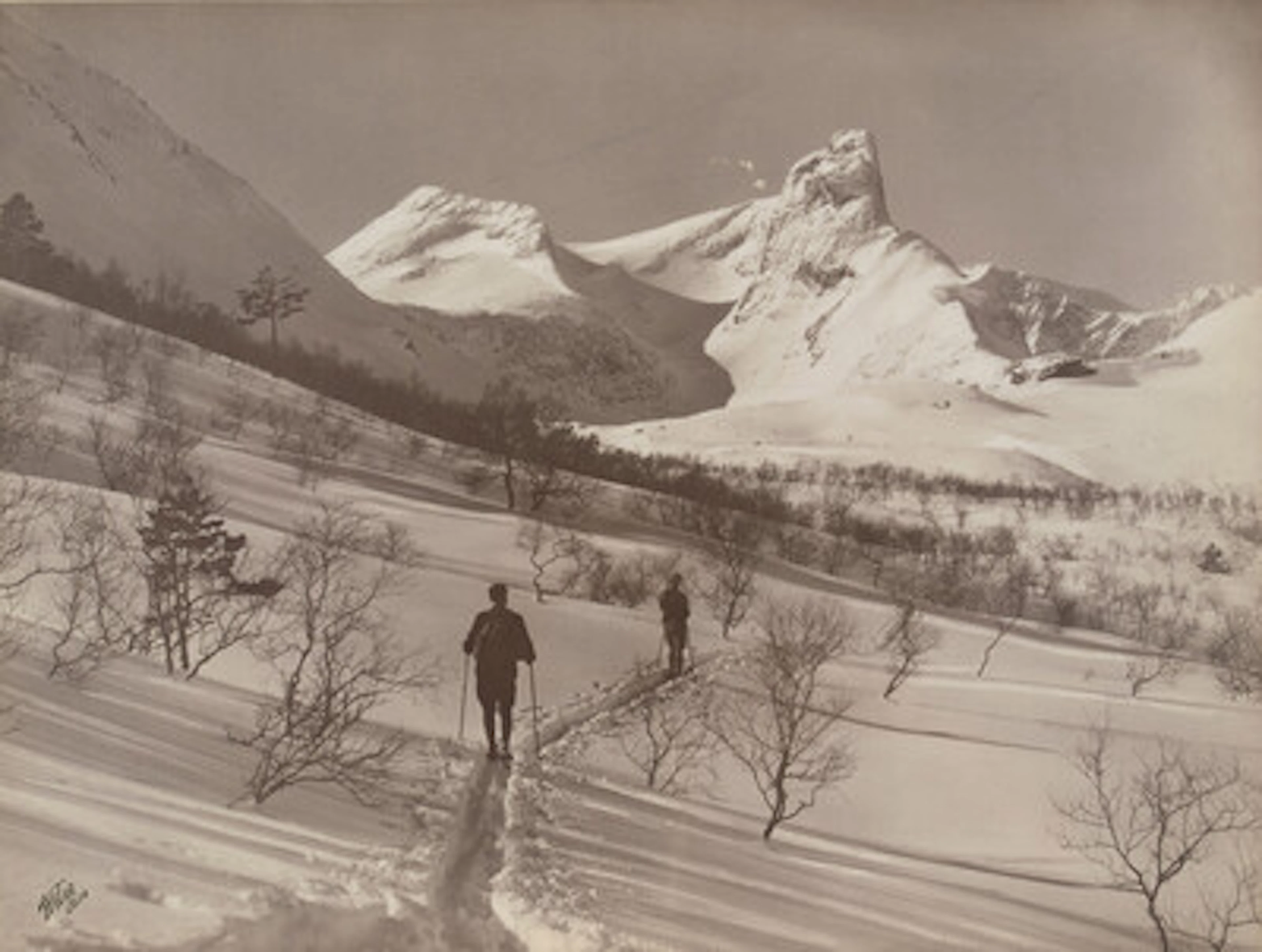 Anders Beer Wilse
