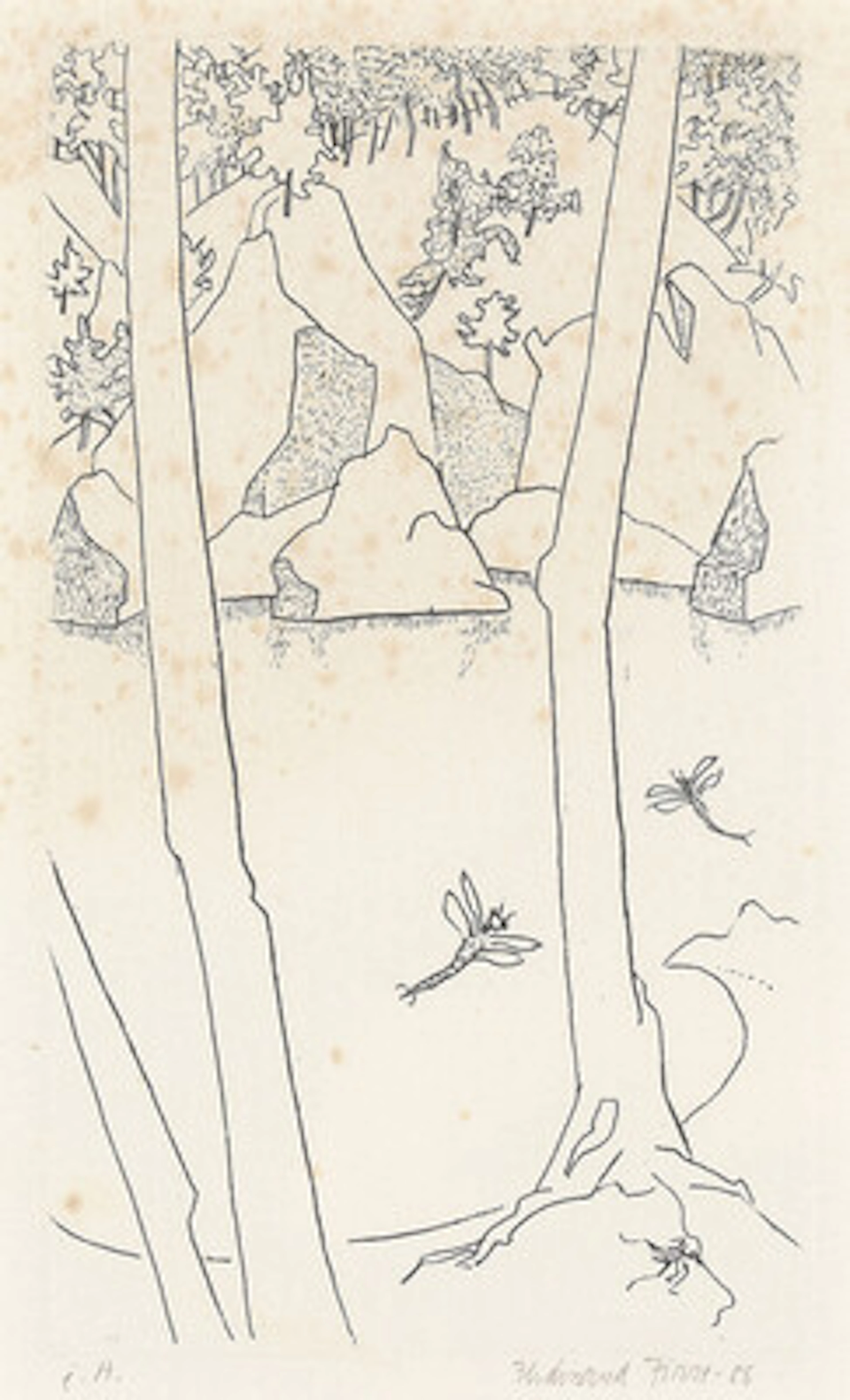 Ferdinand Finne