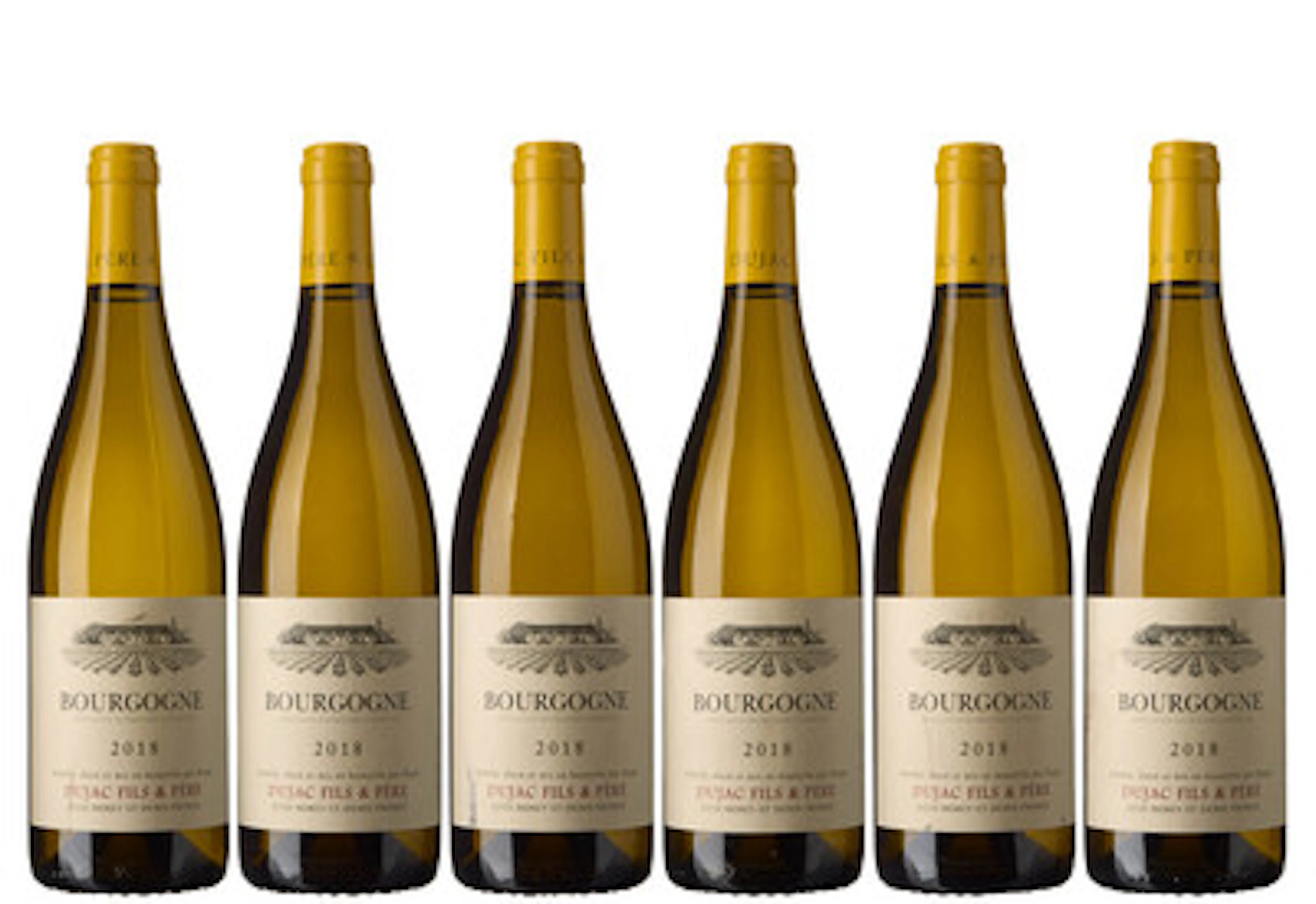 6 x Bourgogne Blanc 2018, Dujac Fils & Pere