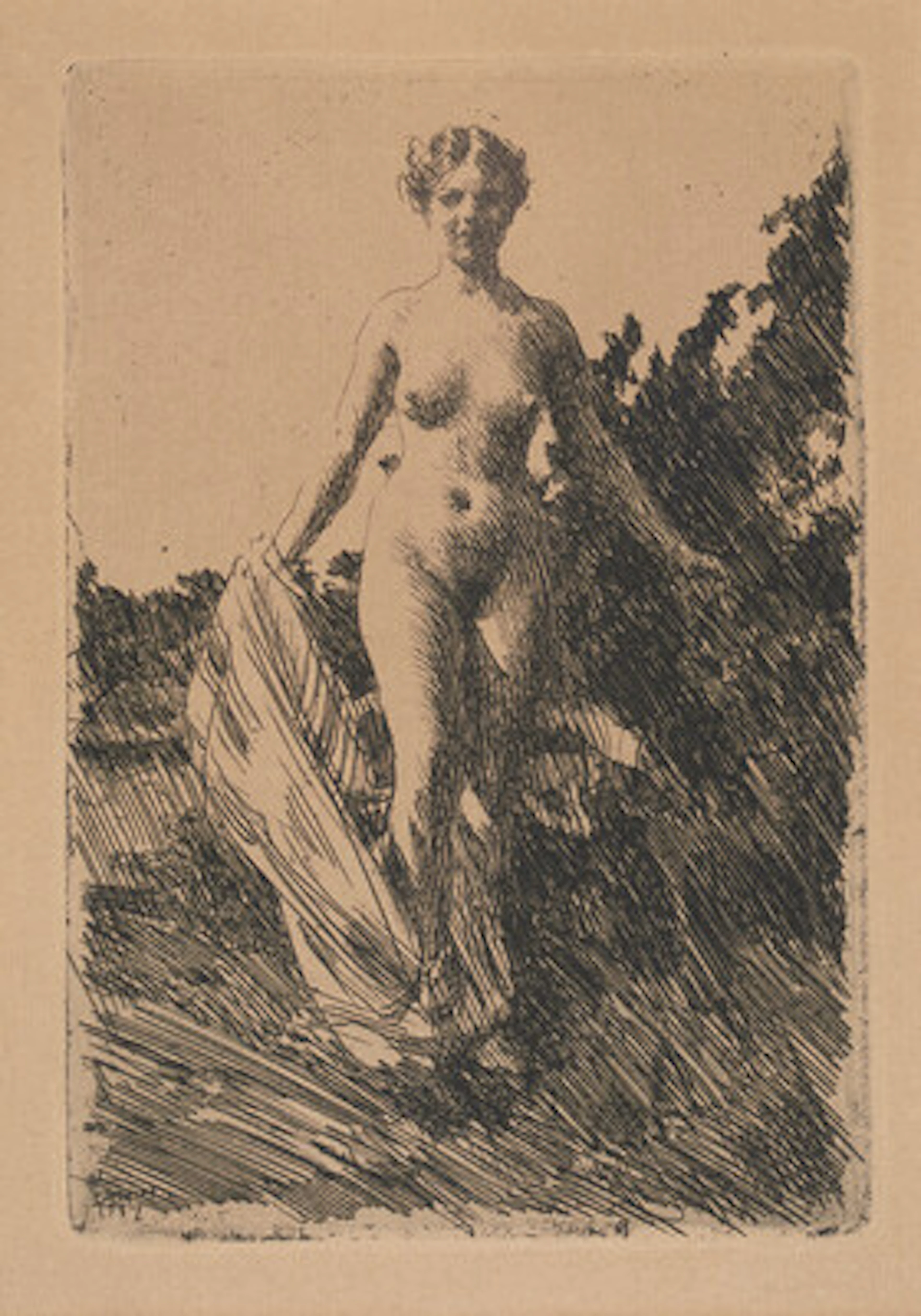 Anders Zorn