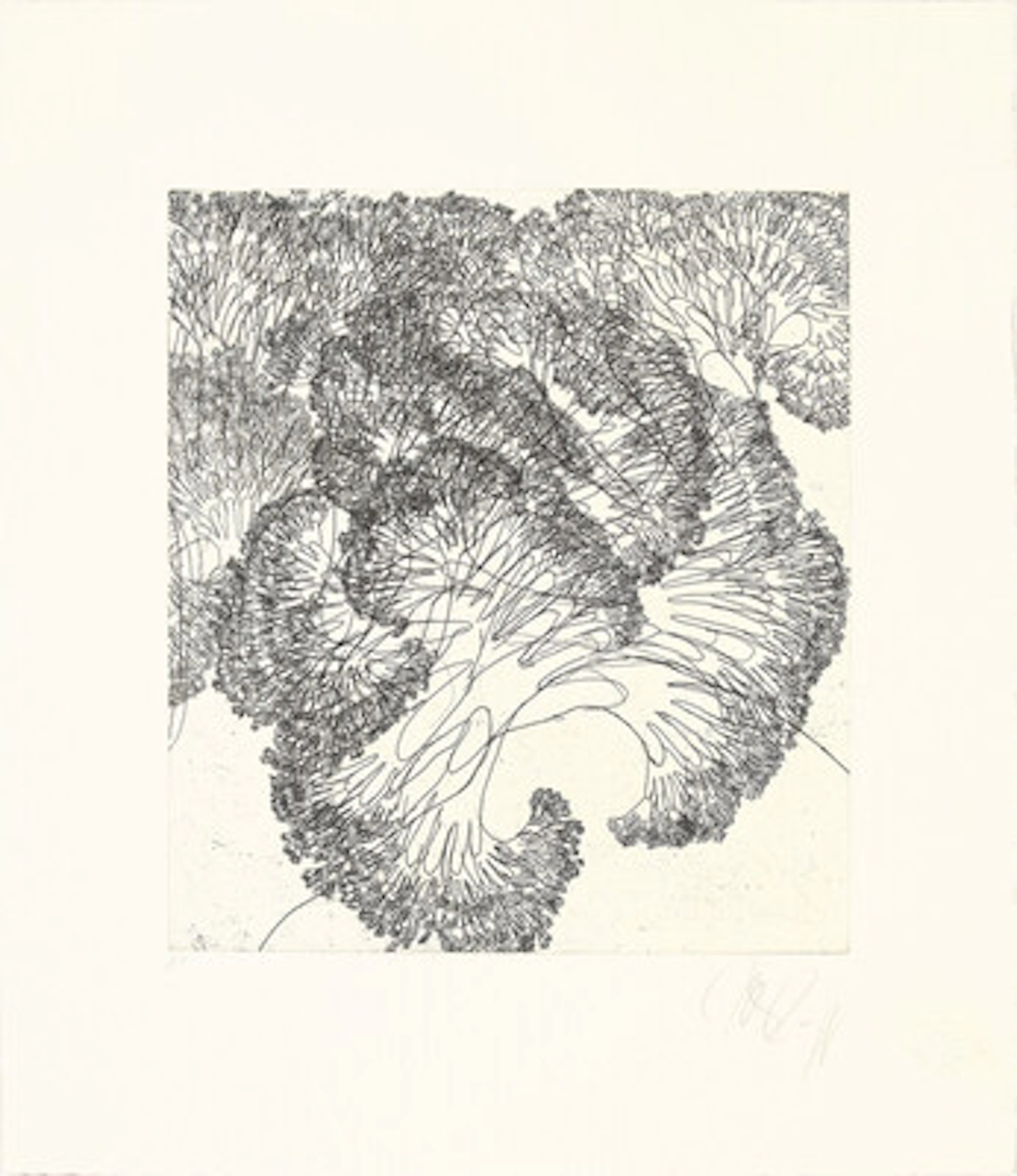 Tony Cragg