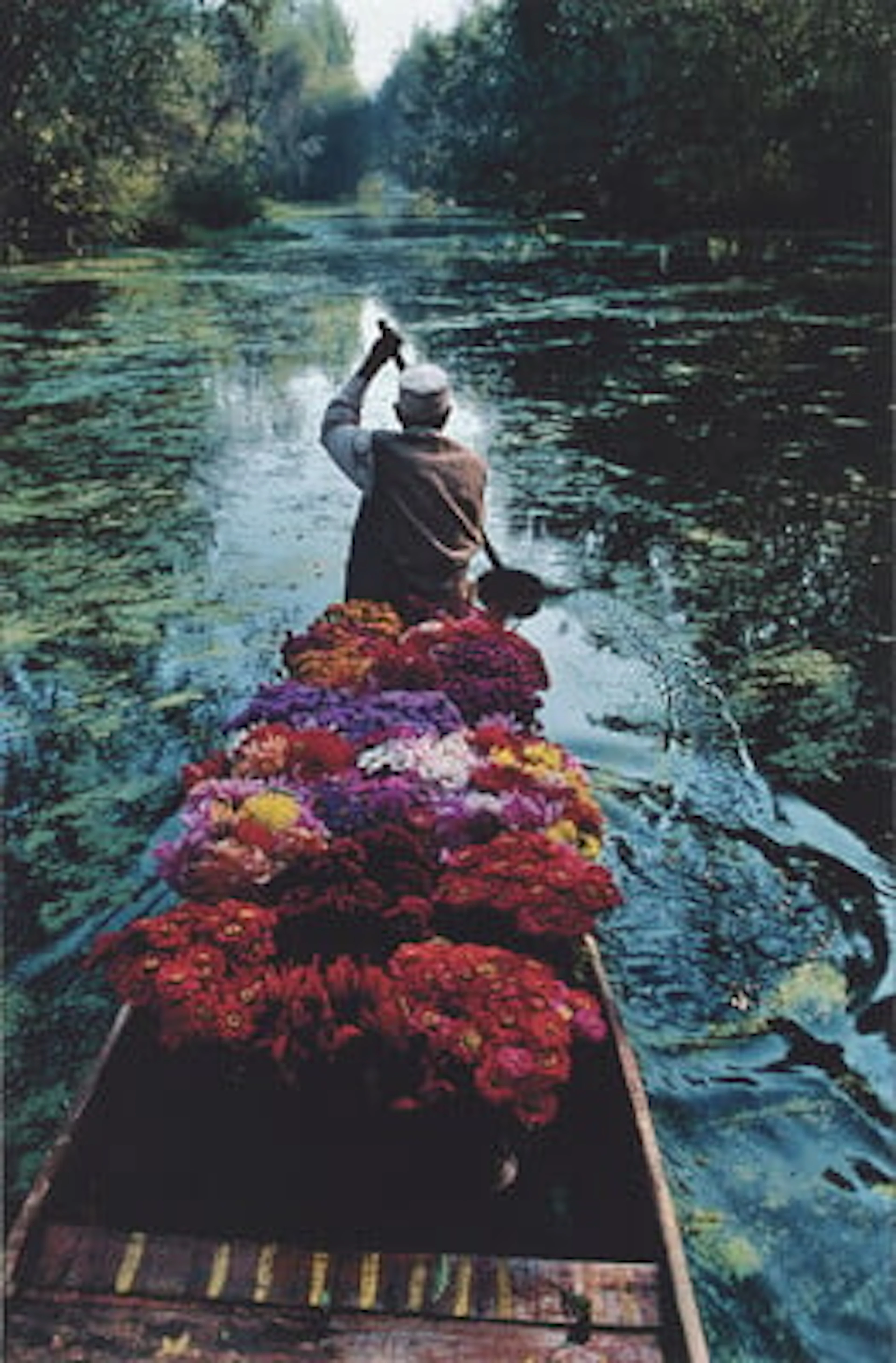 Steve McCurry