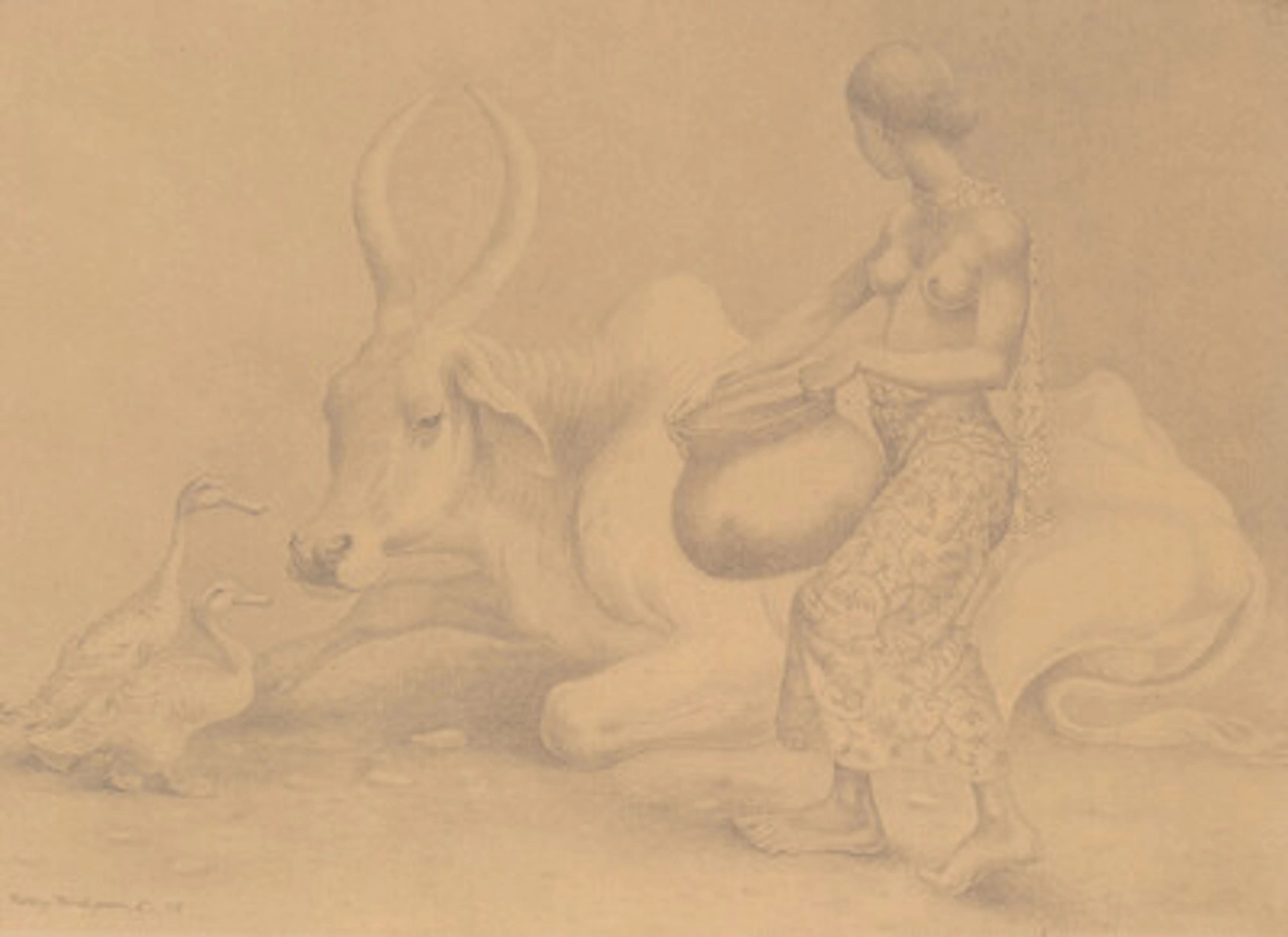 Ridley Borchgrevink