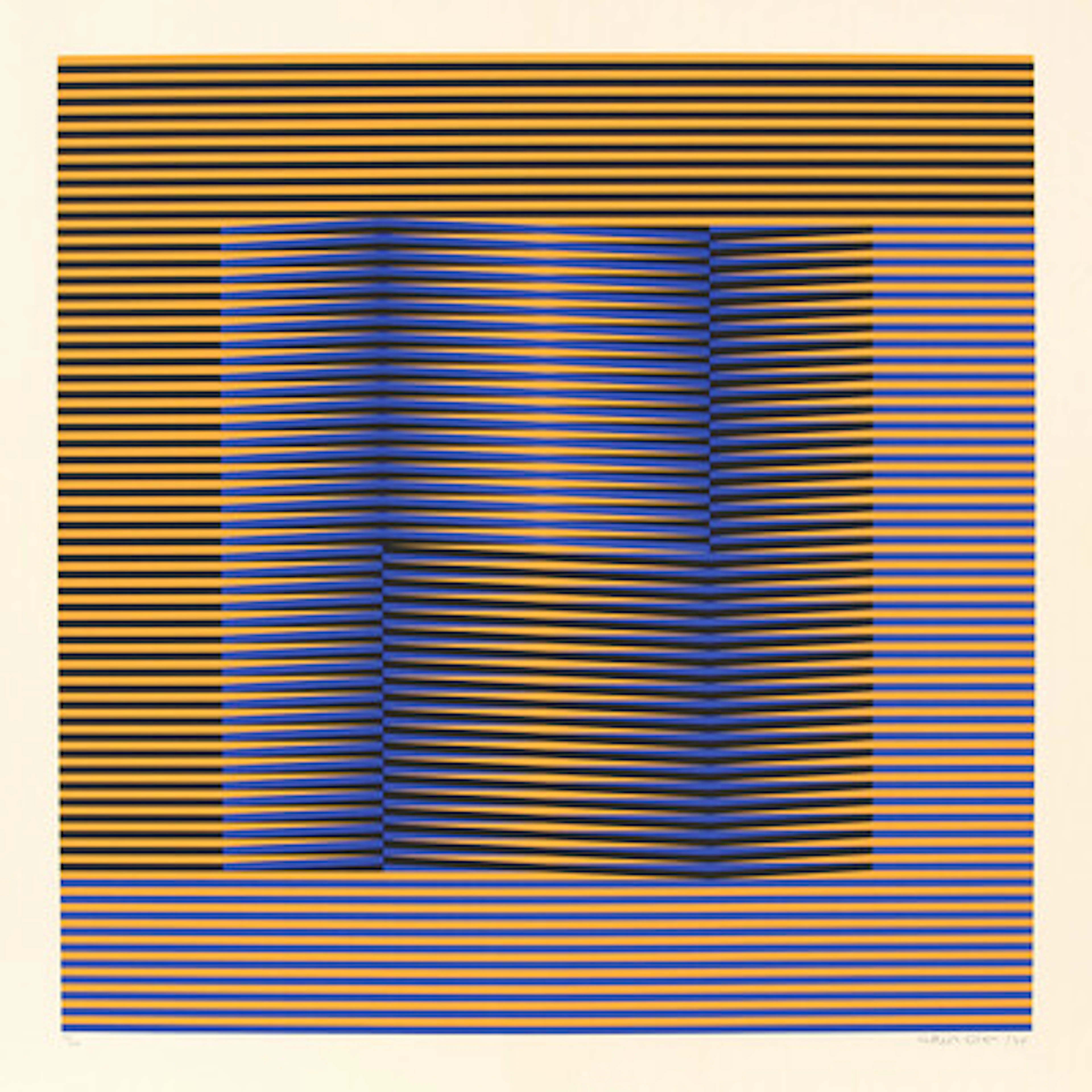 Carlos Cruz-Diez
