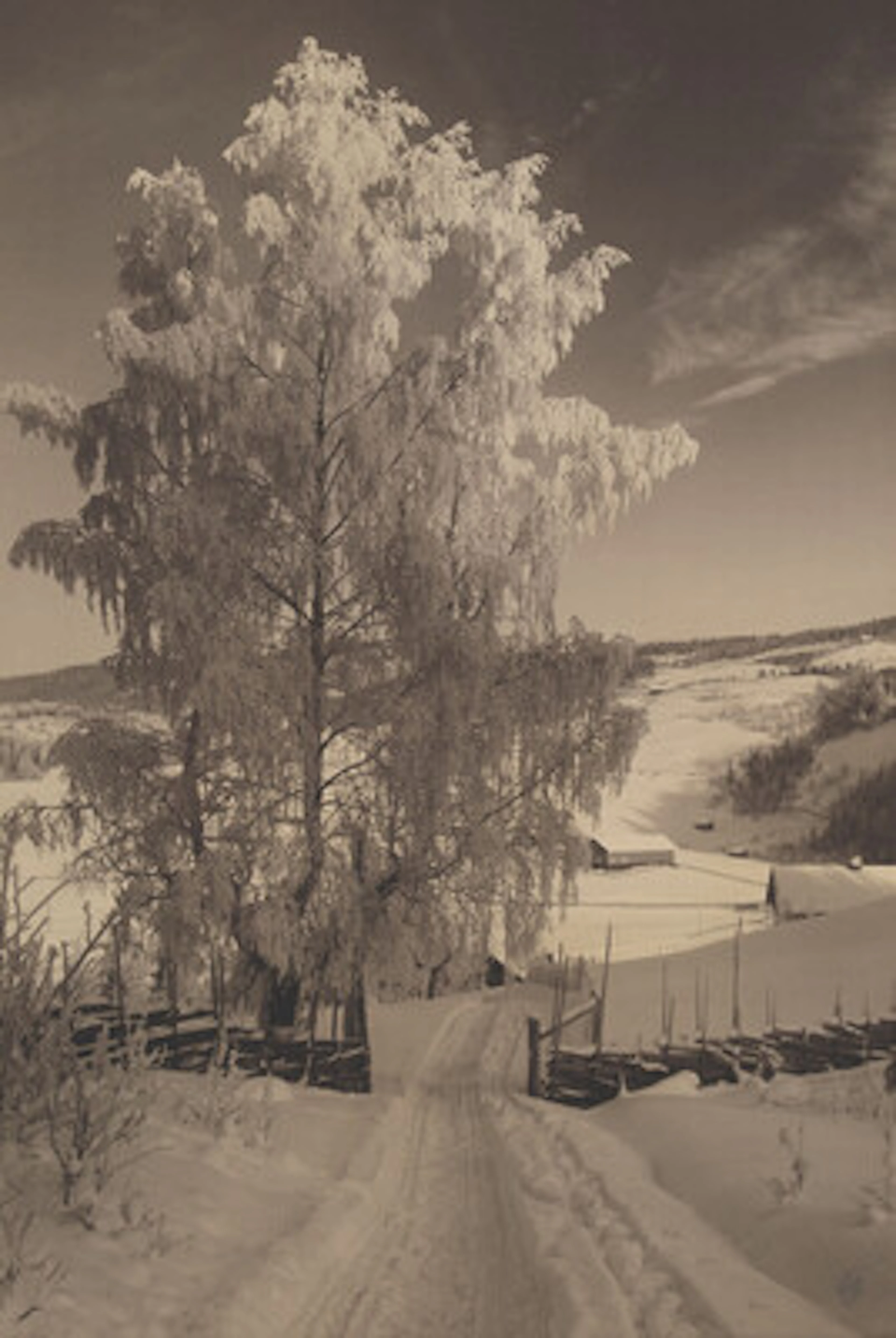 Anders Beer Wilse