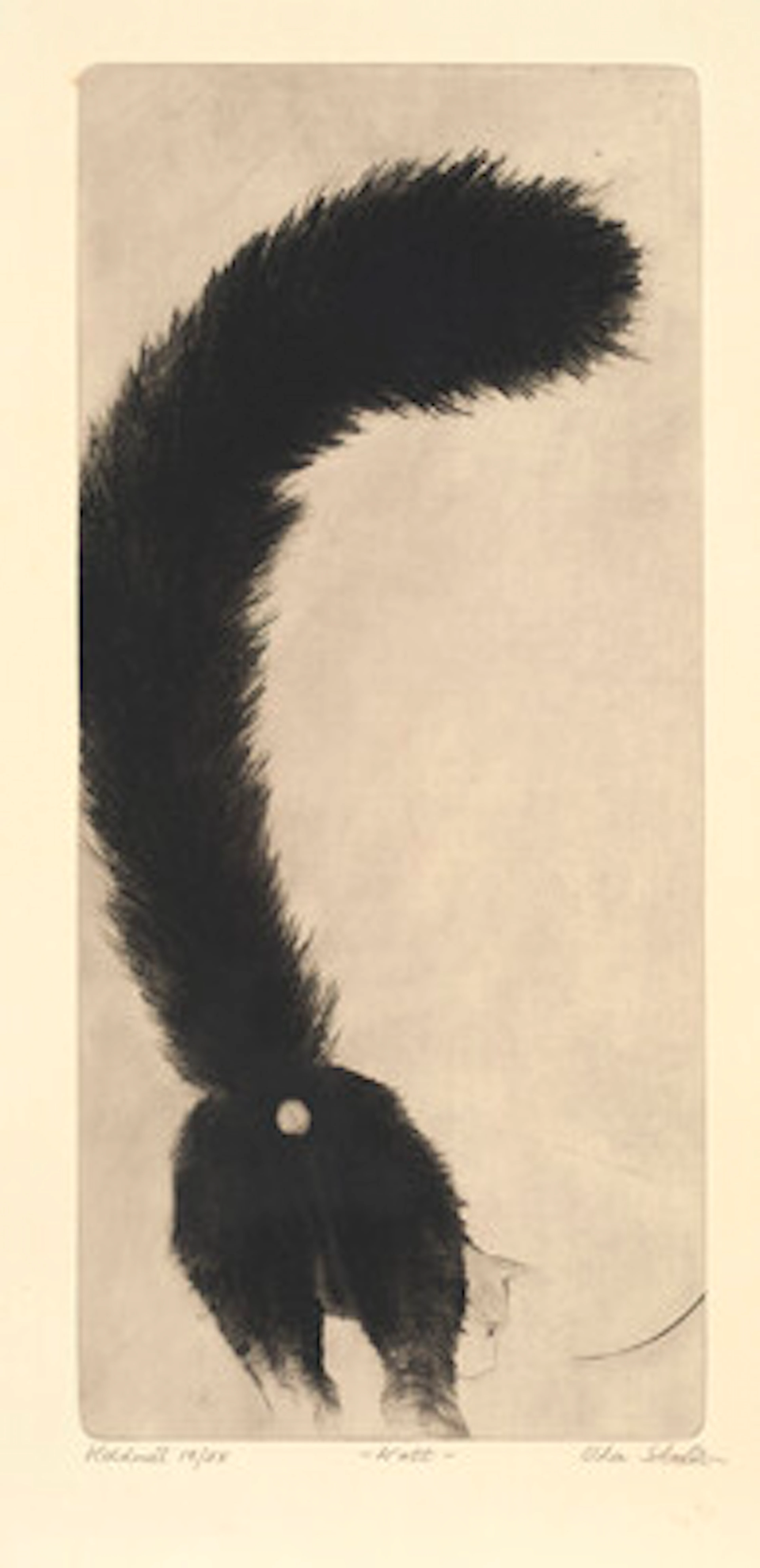 Ola Steen