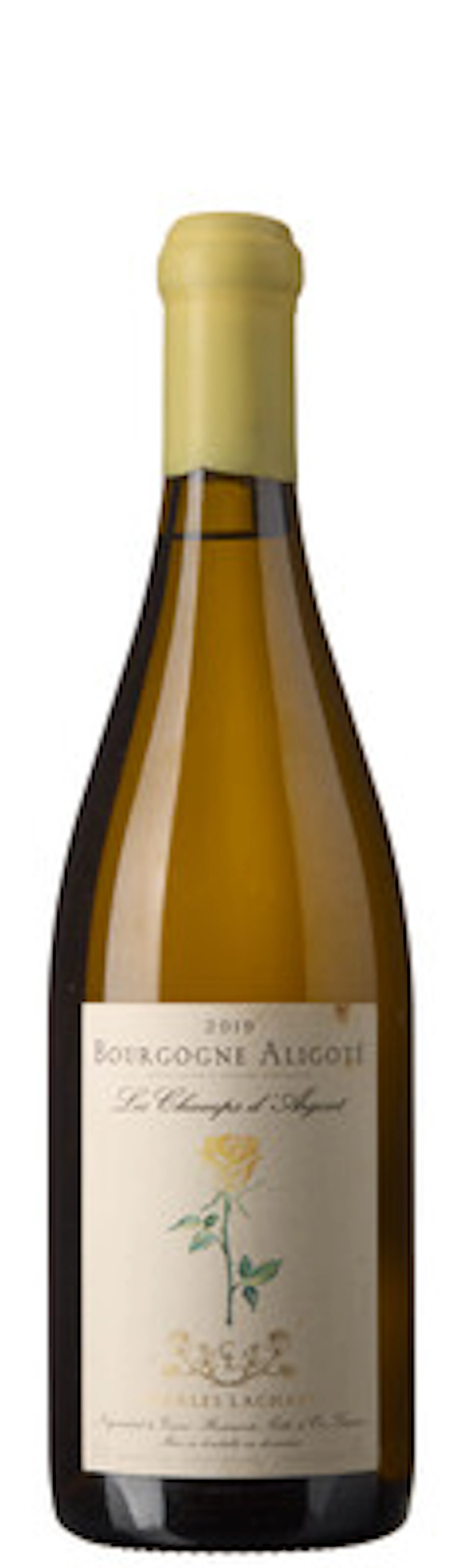 1 x Bourgogne Aligoté Les Champs d'Argent 2019, Charles Lachaux