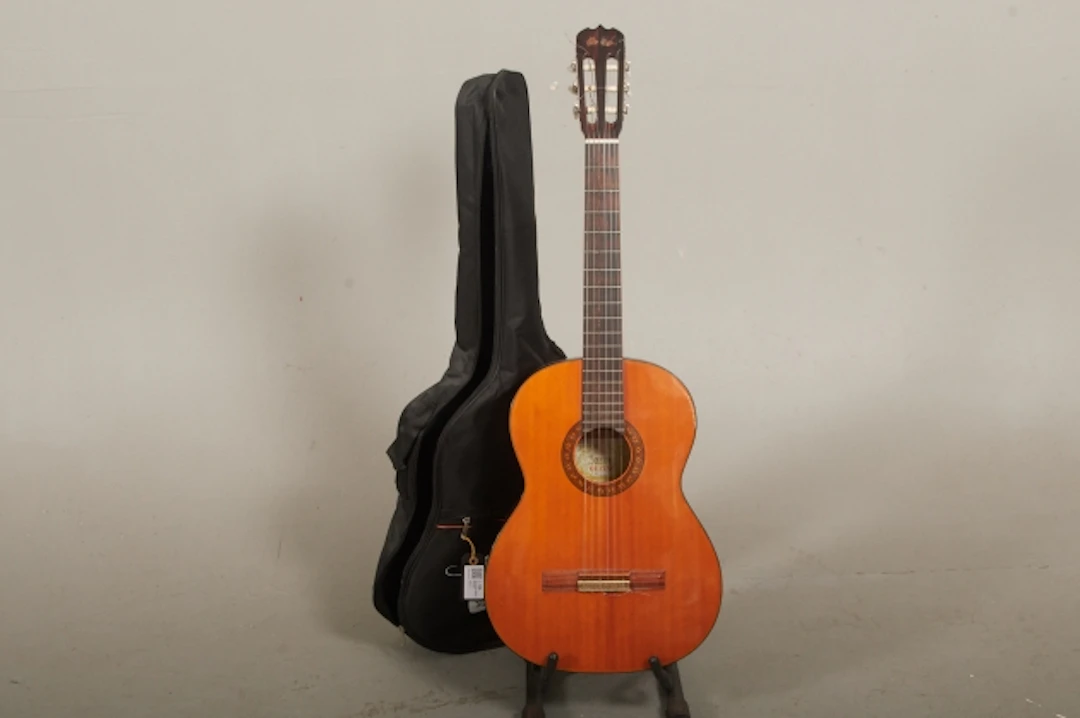 Akustisk gitarr, Suzuki