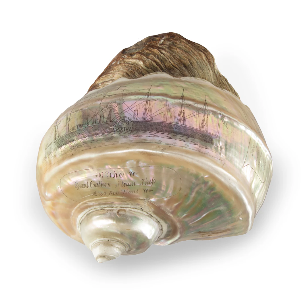 A Finely Engraved Turban Shell Featuring a Vignette of the S. S. Great