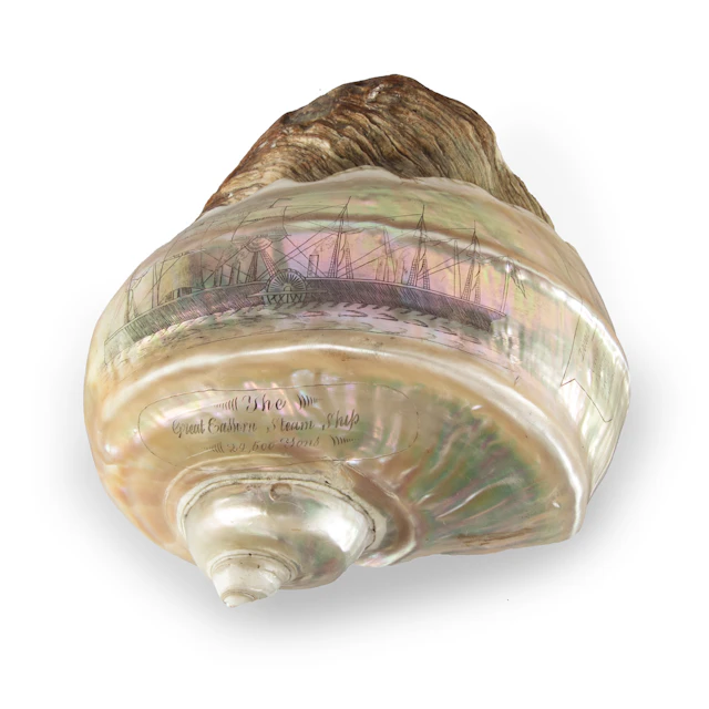 A Finely Engraved Turban Shell Featuring a Vignette of the S. S. Great