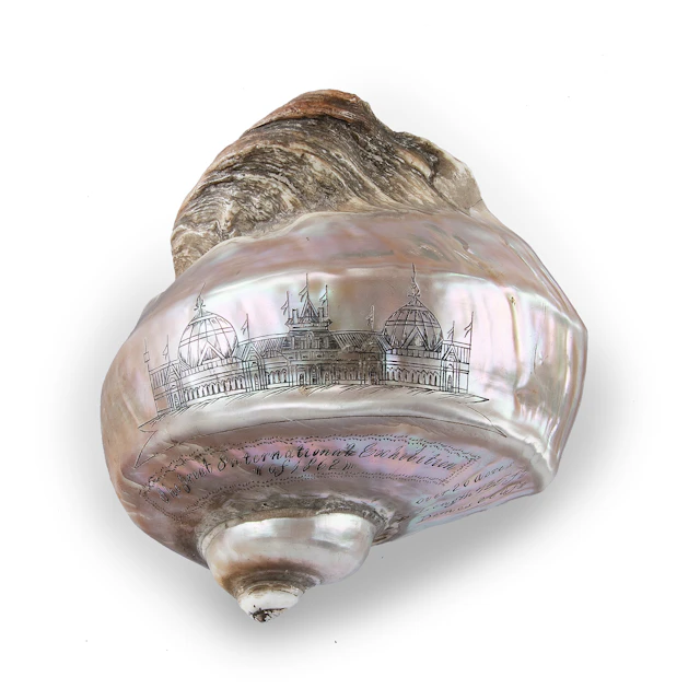 A Finely Engraved Turban Shell Featuring a Vignette of the International