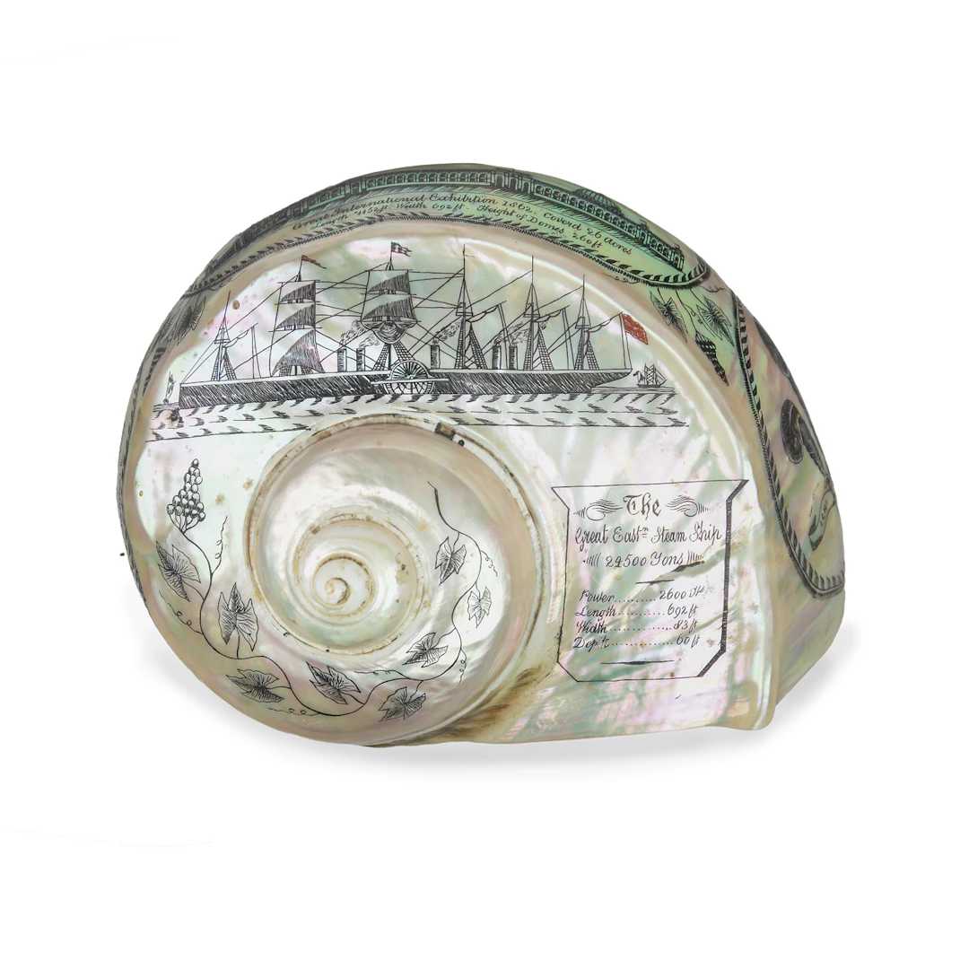 A Very Fine Engraved Turban Shell, Engraved by James Sexton of Bromley