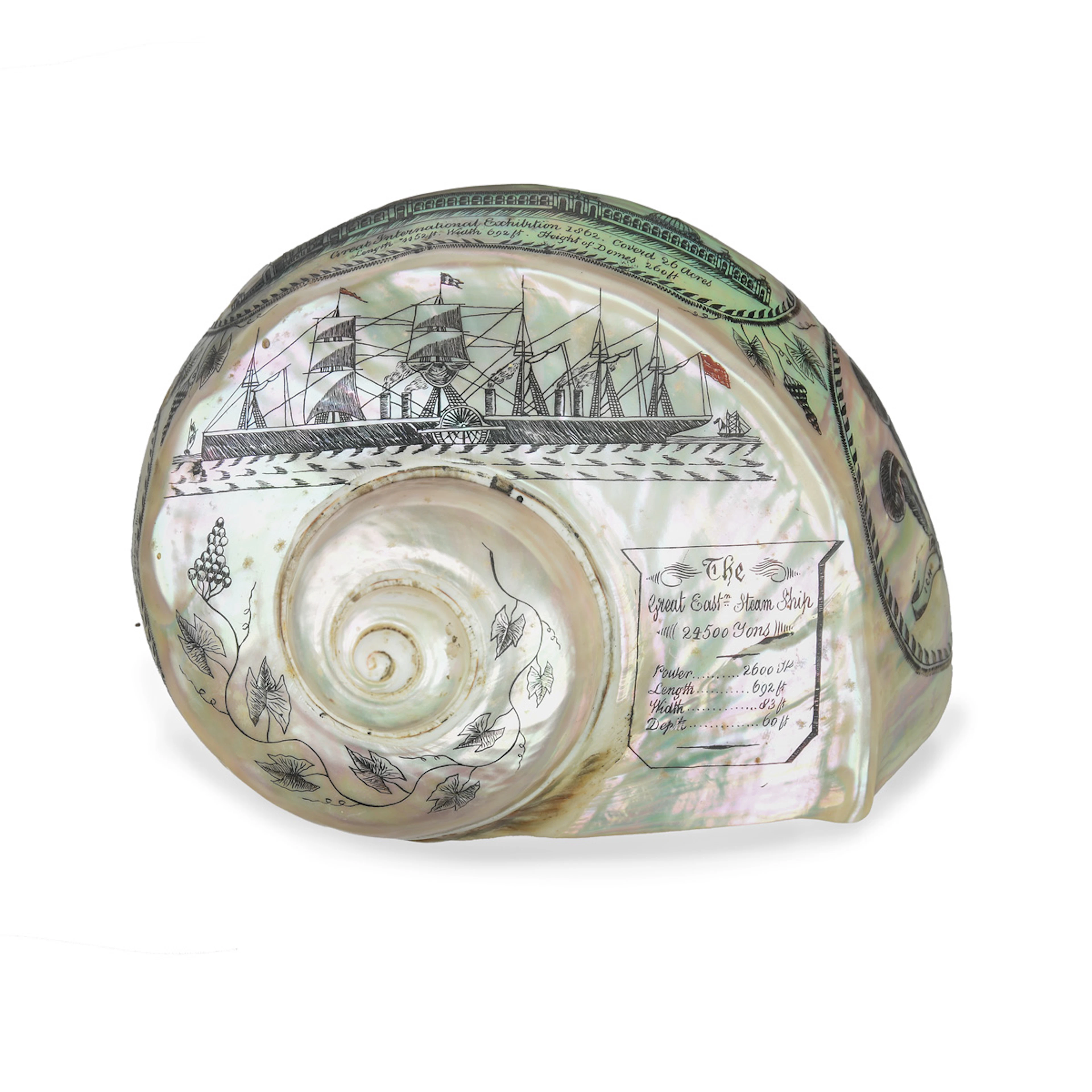 A Very Fine Engraved Turban Shell, Engraved by James Sexton of Bromley
