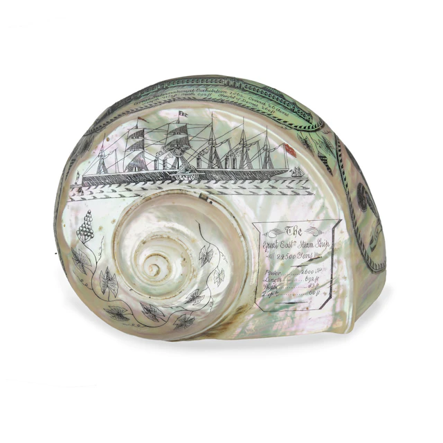 A Very Fine Engraved Turban Shell, Engraved by James Sexton of Bromley