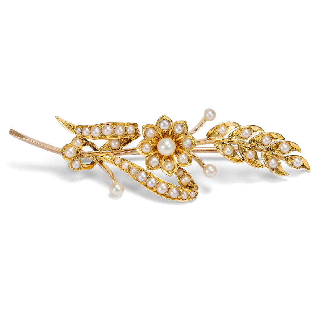 Antique Brooch With Pearls in Gold, Great Britain Around 1900