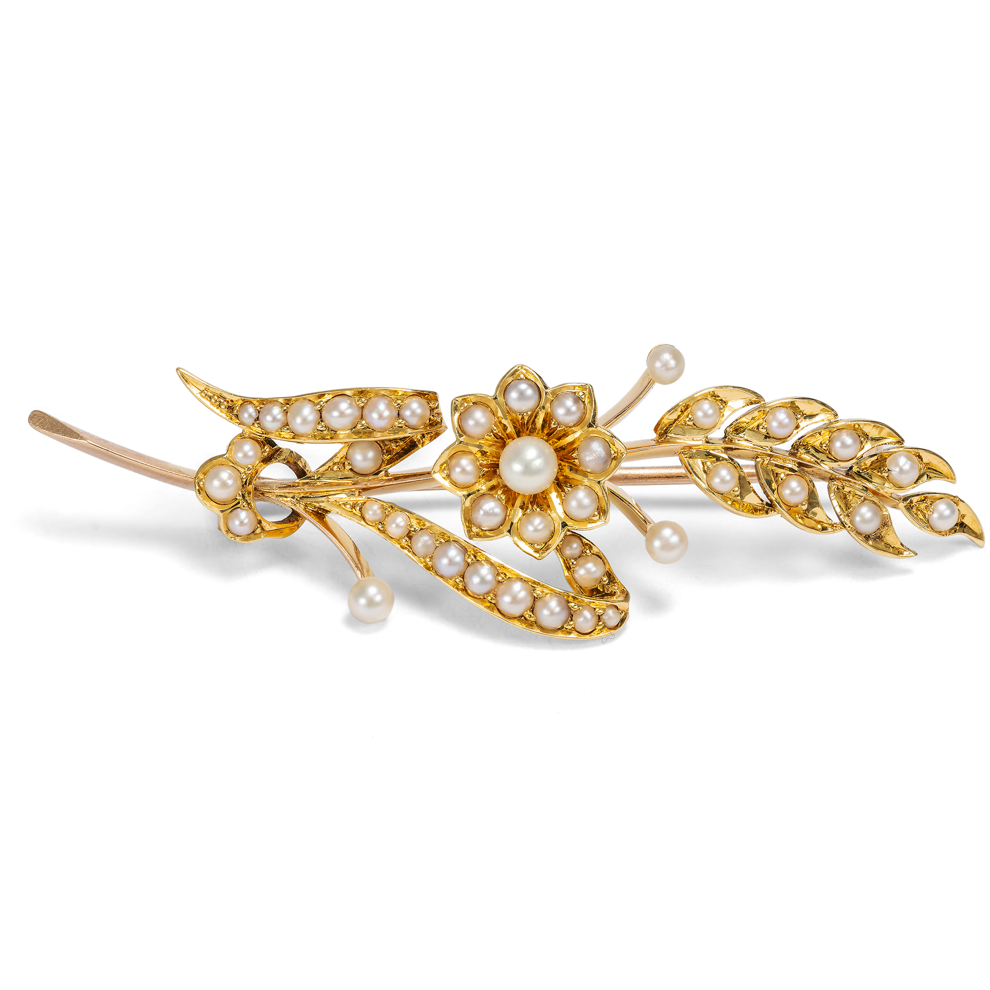 Antique Brooch With Pearls in Gold, Great Britain Around 1900
