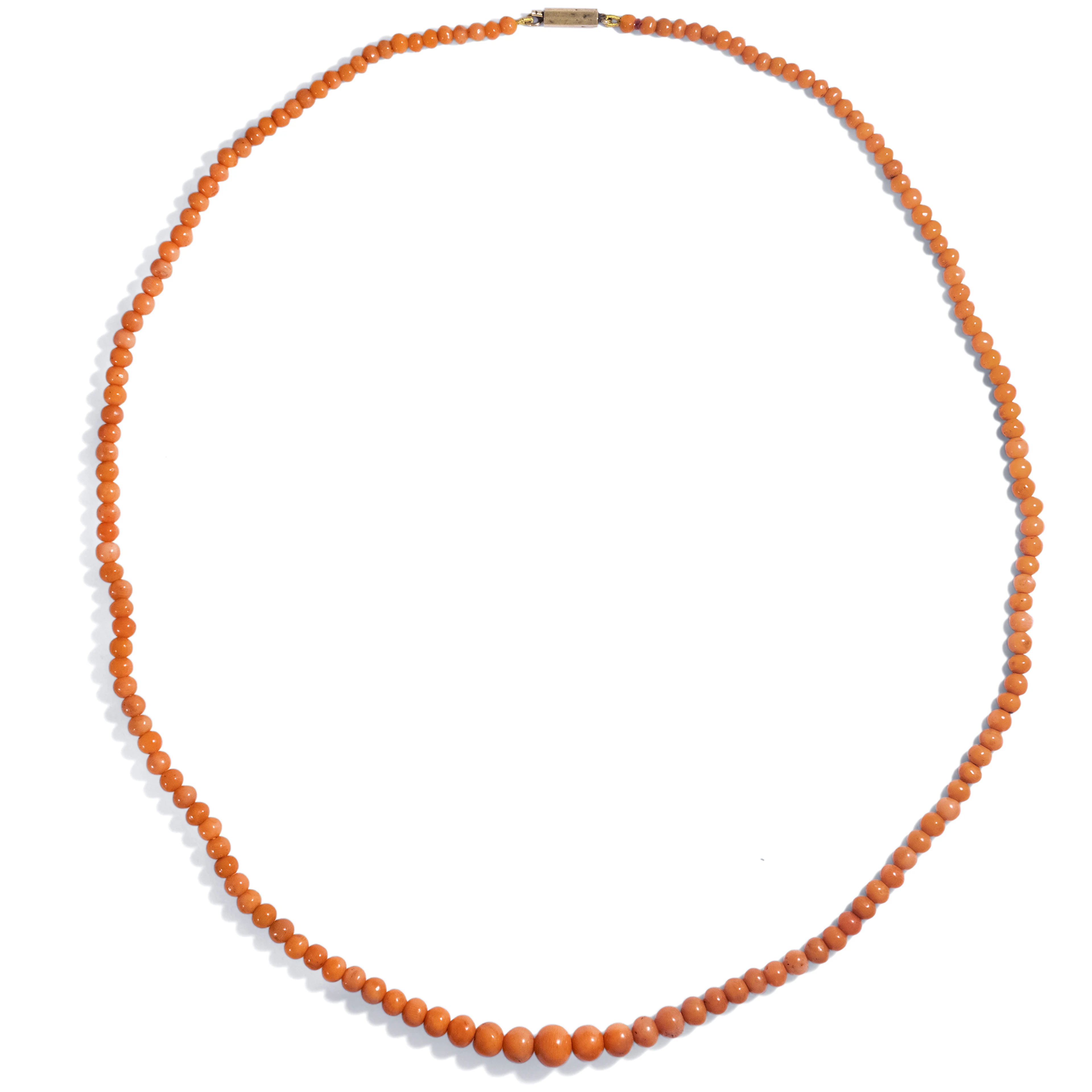 Antique Necklace Made of Salmon Coral With Gold Clasp, c. 1900