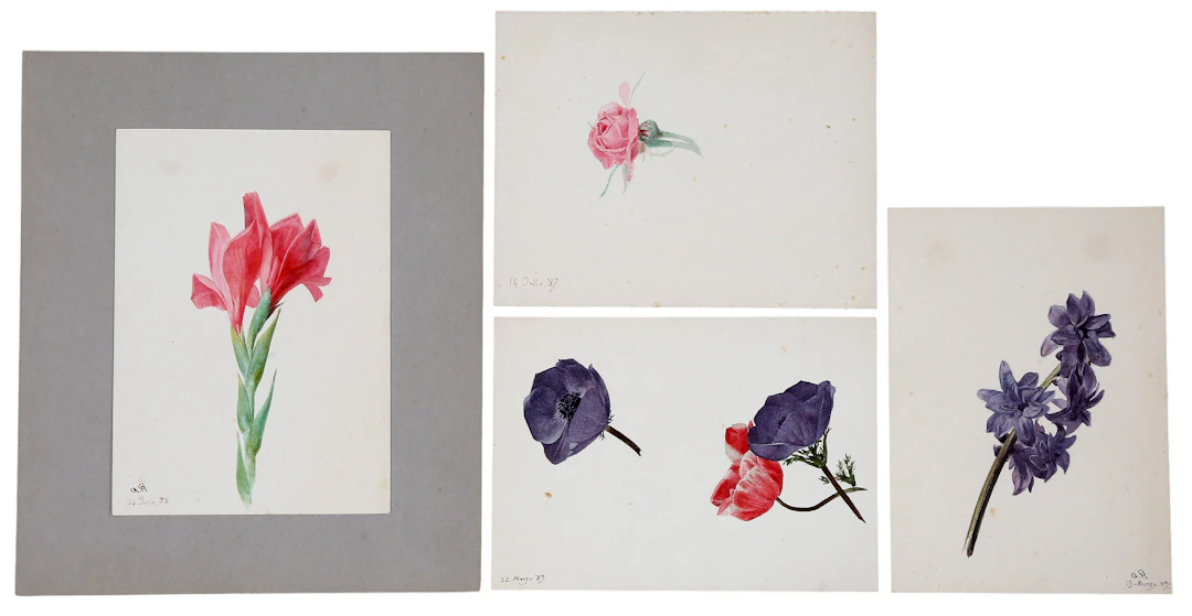 AGUSTÍ RIGALT CORTIELLA. Floral sketches.