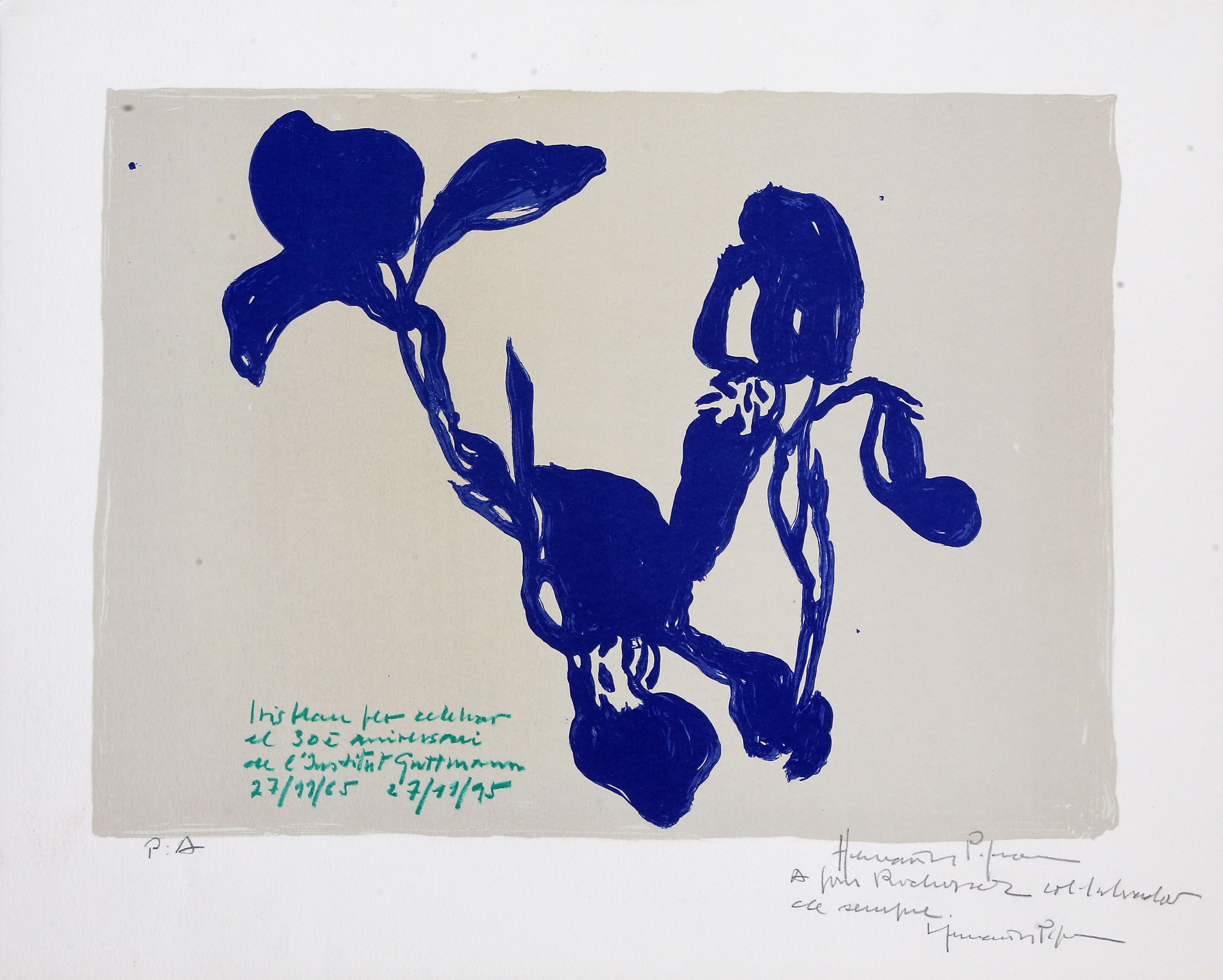 JOAN HERNÁNDEZ PIJUAN. "Iris blau".