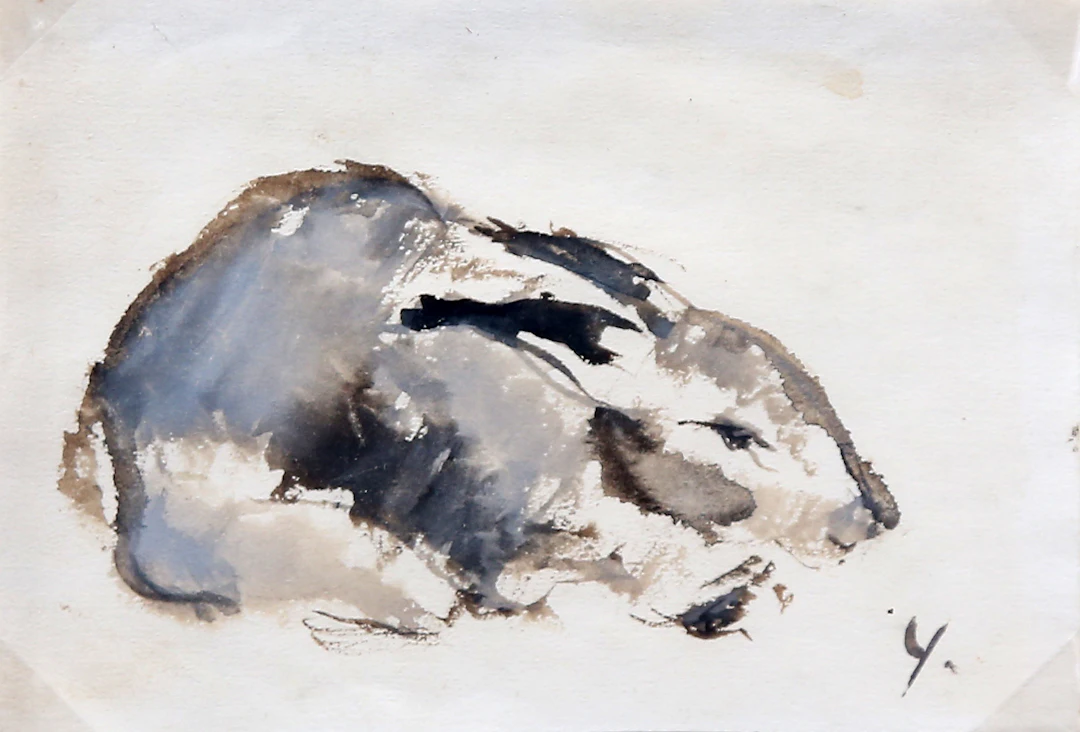 PERE YNGLADA. Hare.