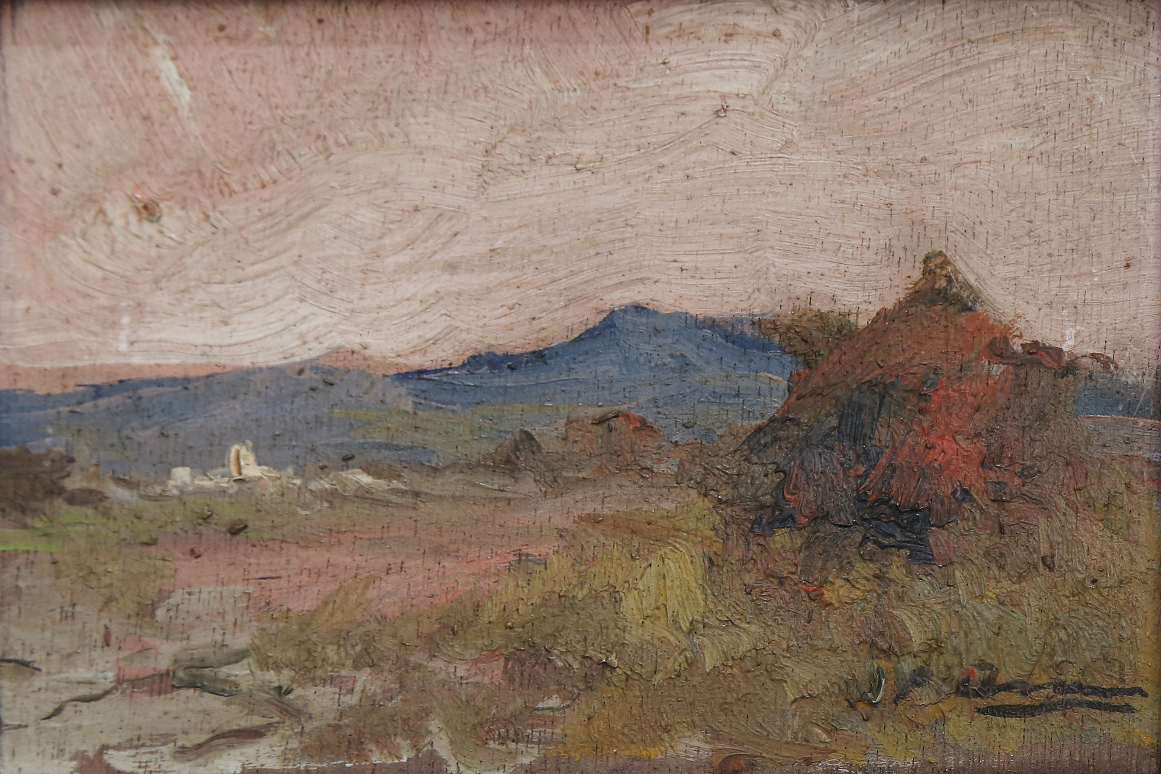 JOAQUIN ASENSIO. Rural view.