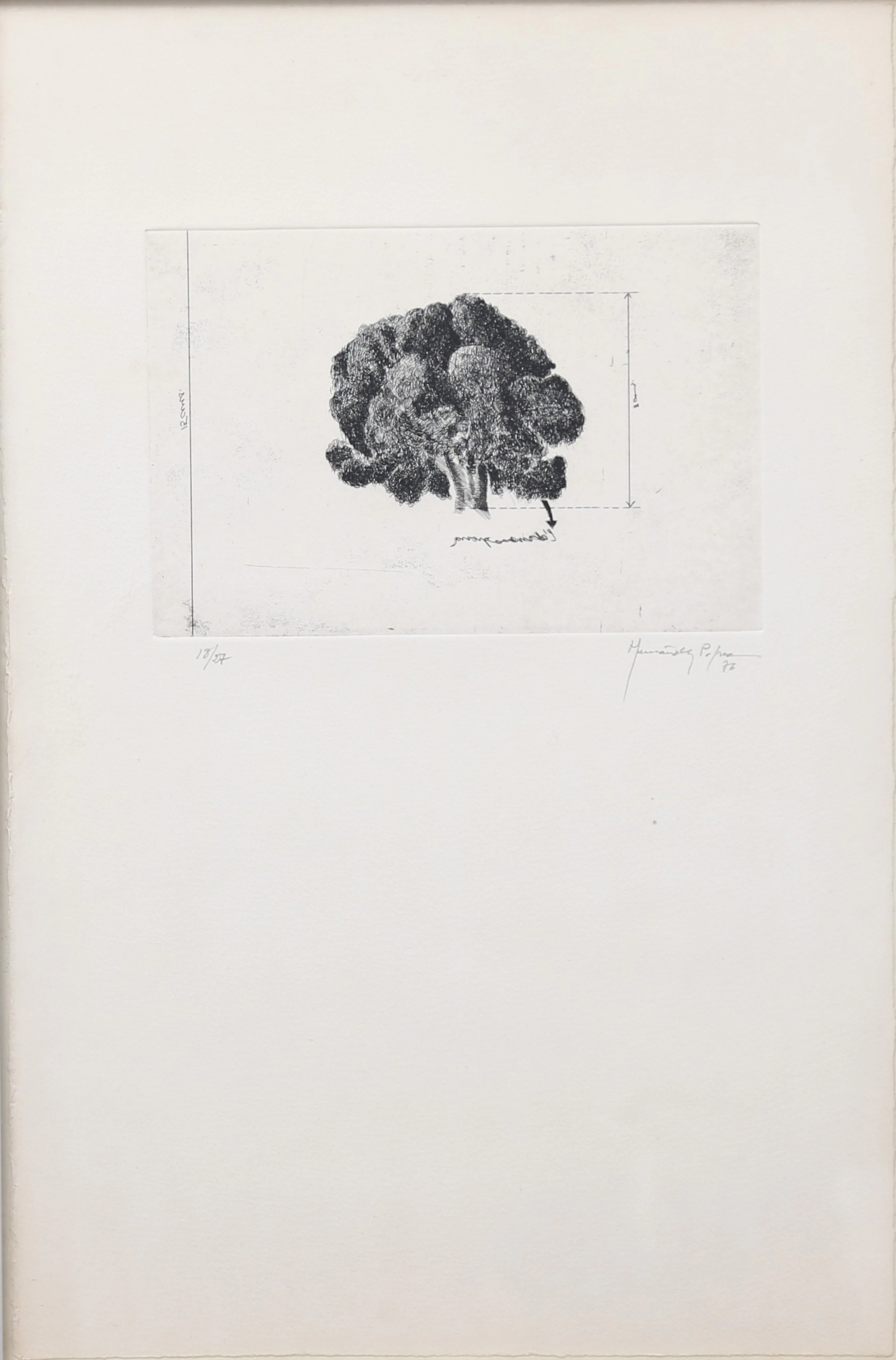 HERNÁNDEZ PIJUAN. "Panís".