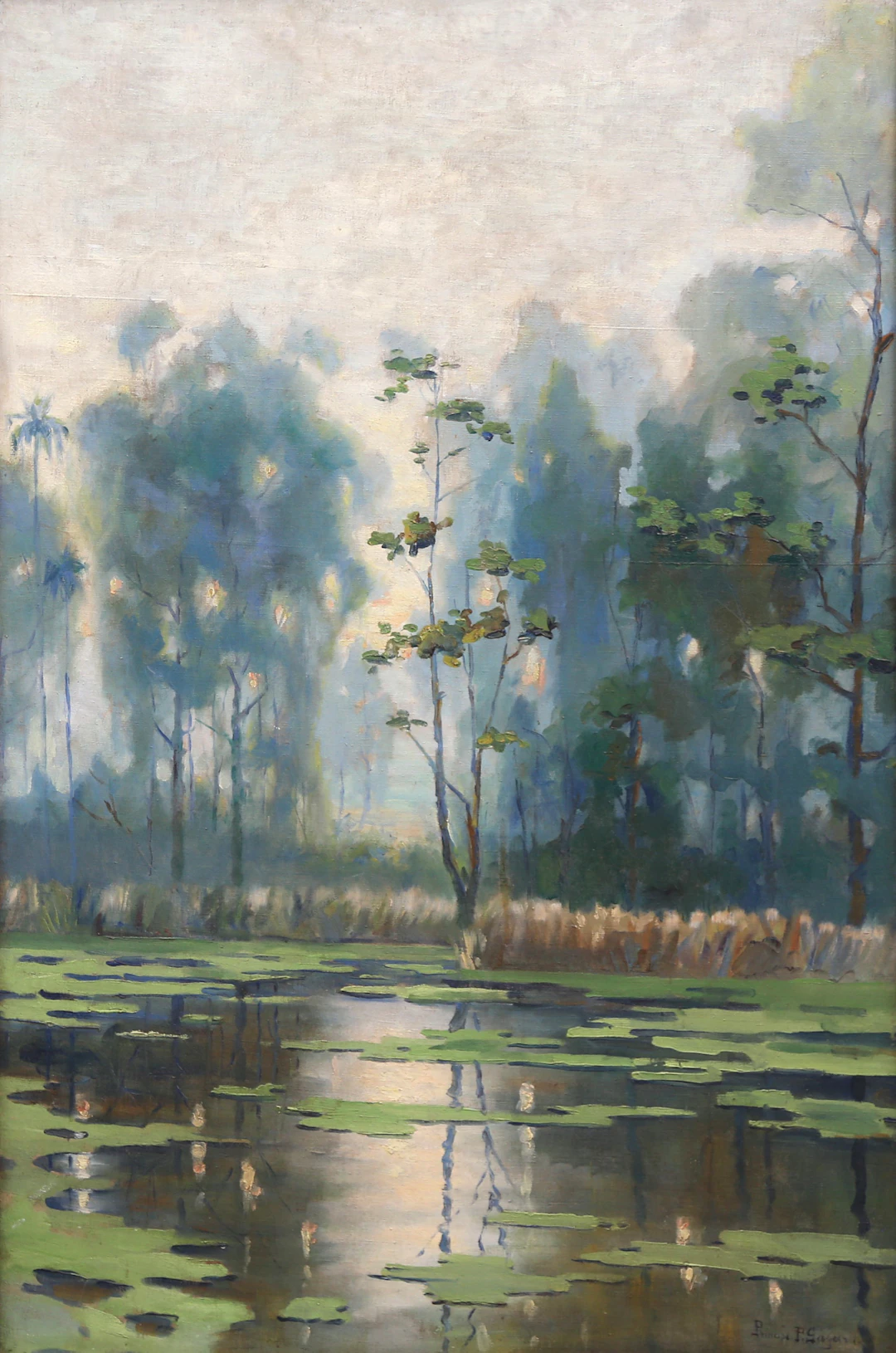 PRÍNCIPE PAULO GAGARIN. Lake landscape.