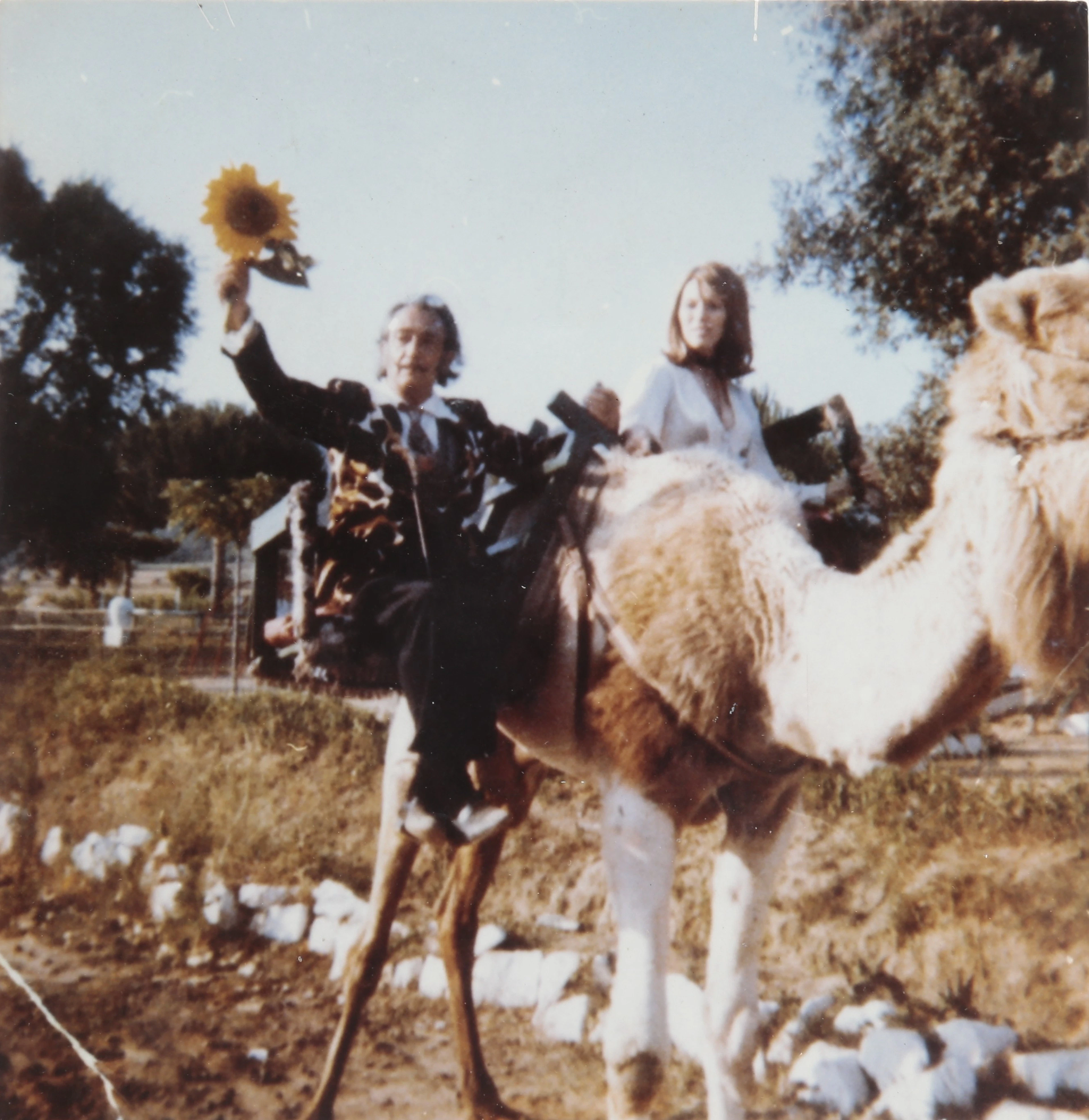 Photograph of Salvador Dalí and Amanda Lear in Port Lligat, circa 1960-1970.