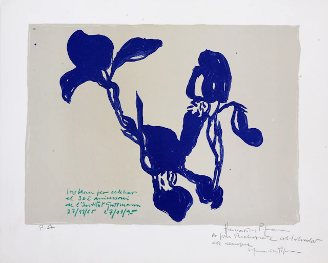 JOAN HERNÁNDEZ PIJUAN. "Iris blau".